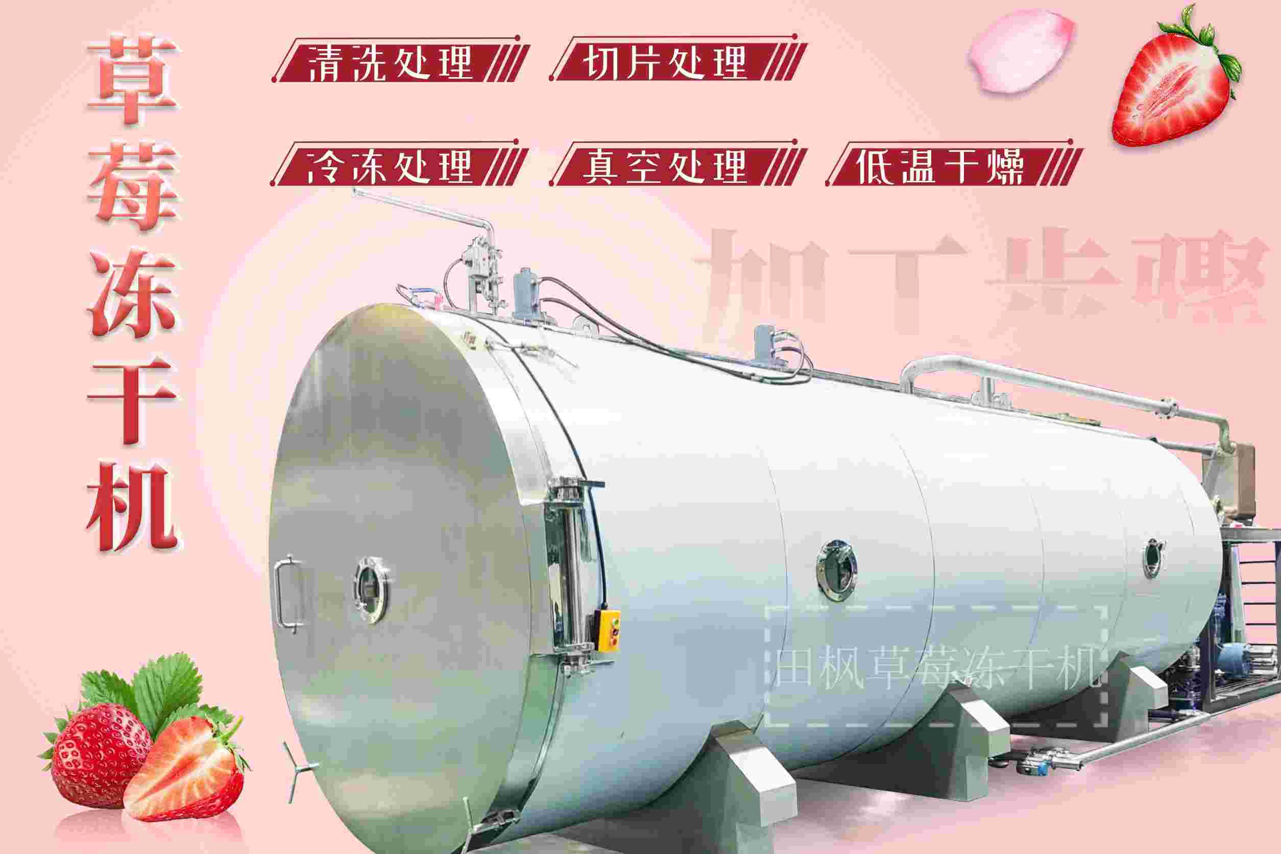 冷凍干燥機(jī)|凍干機(jī)|真空冷凍干燥機(jī)|大型冷凍干燥機(jī)|食品凍干機(jī)|制藥真空冷凍干燥機(jī)|食品凍干設(shè)備|制藥冷凍干燥機(jī)