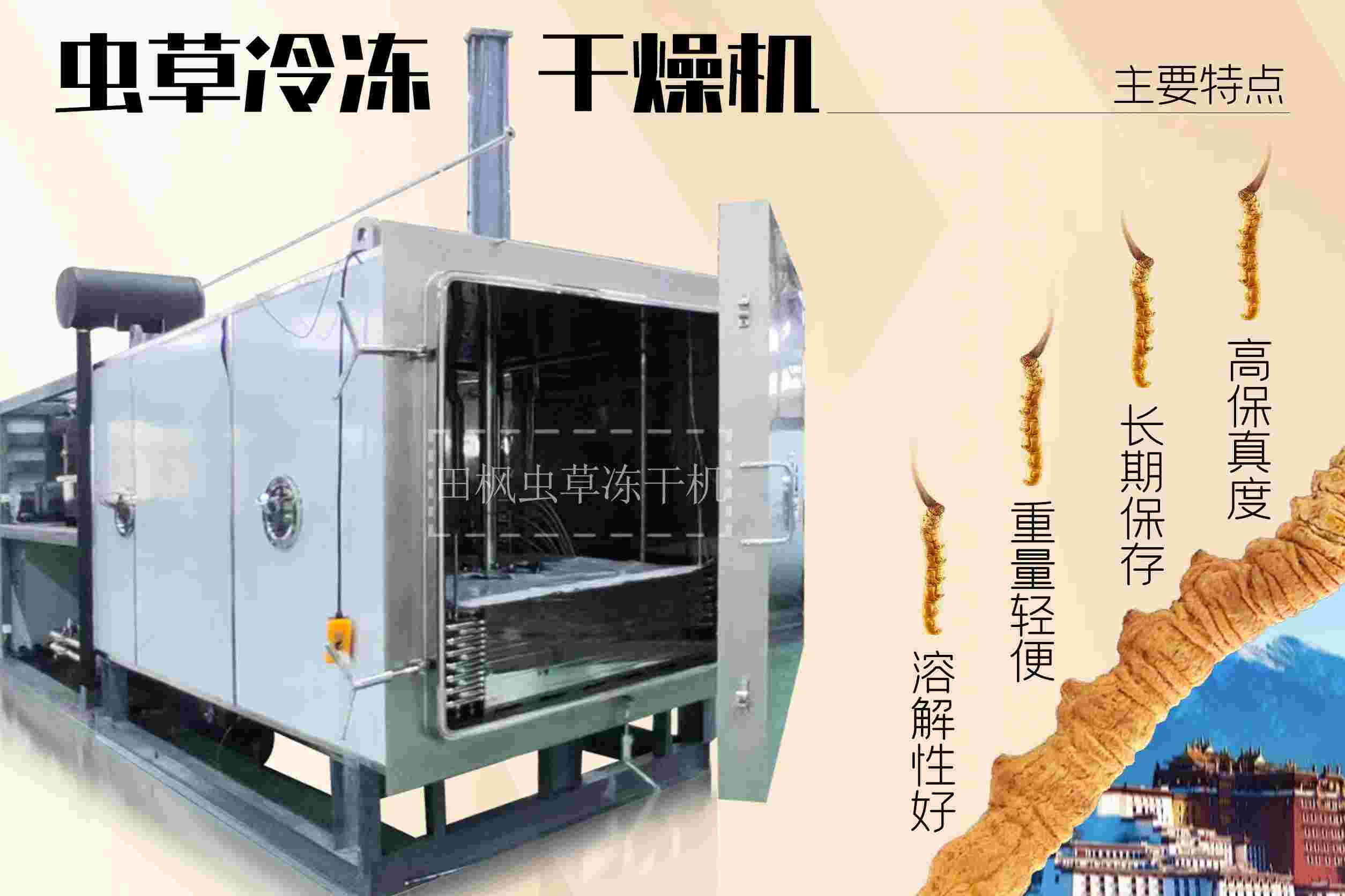 冷凍干燥機(jī)|凍干機(jī)|真空冷凍干燥機(jī)|大型冷凍干燥機(jī)|食品凍干機(jī)|制藥真空冷凍干燥機(jī)|食品凍干設(shè)備|制藥冷凍干燥機(jī)