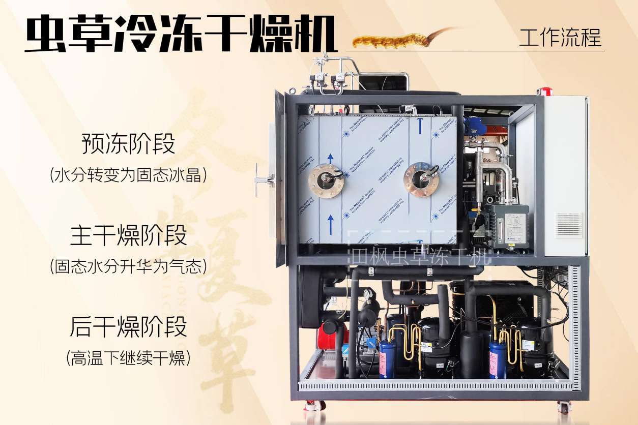 冷凍干燥機(jī)|凍干機(jī)|真空冷凍干燥機(jī)|大型冷凍干燥機(jī)|食品凍干機(jī)|制藥真空冷凍干燥機(jī)|食品凍干設(shè)備|制藥冷凍干燥機(jī)