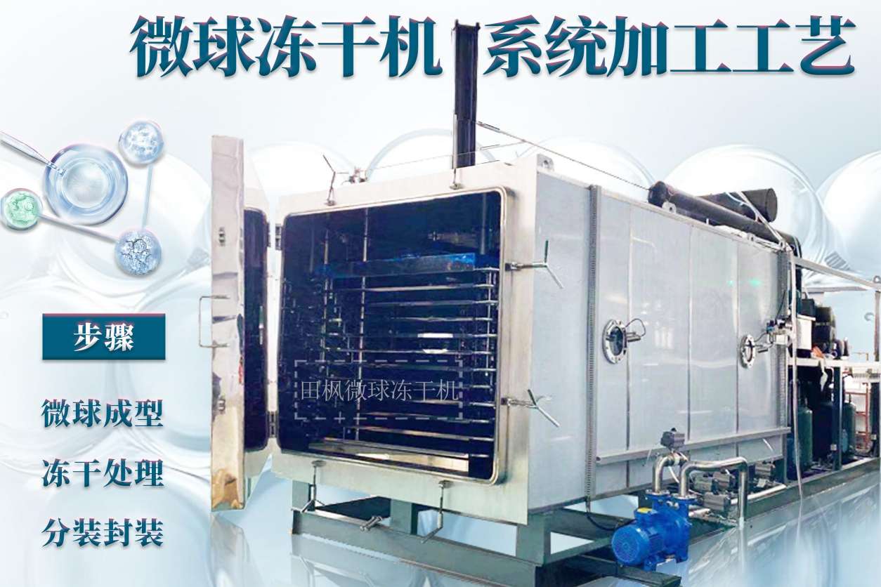 冷凍干燥機(jī)|凍干機(jī)|真空冷凍干燥機(jī)|大型冷凍干燥機(jī)|食品凍干機(jī)|制藥真空冷凍干燥機(jī)|食品凍干設(shè)備|制藥冷凍干燥機(jī)