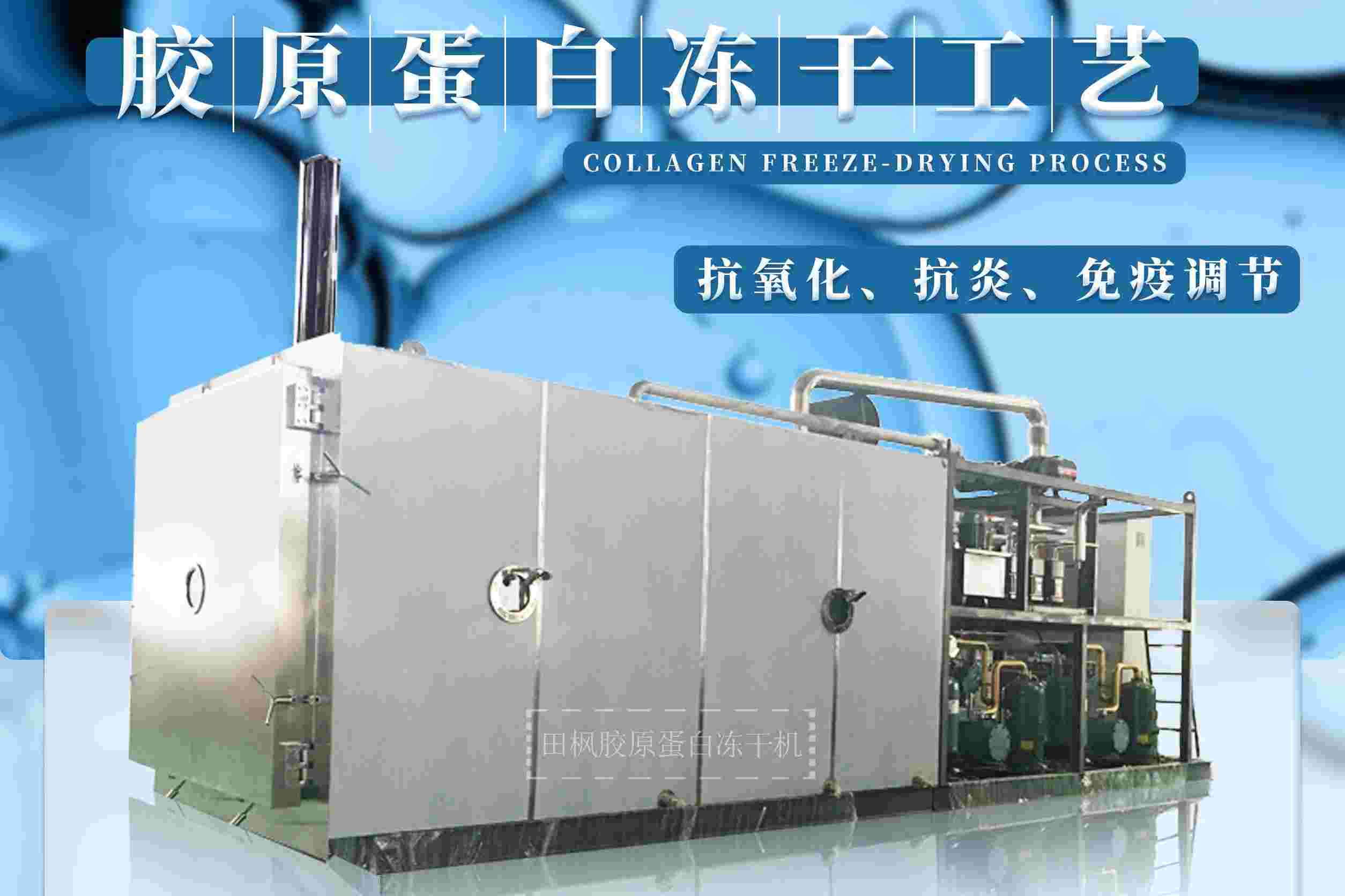 冷凍干燥機|凍干機|真空冷凍干燥機|大型冷凍干燥機|食品凍干機|制藥真空冷凍干燥機|食品凍干設備|制藥冷凍干燥機