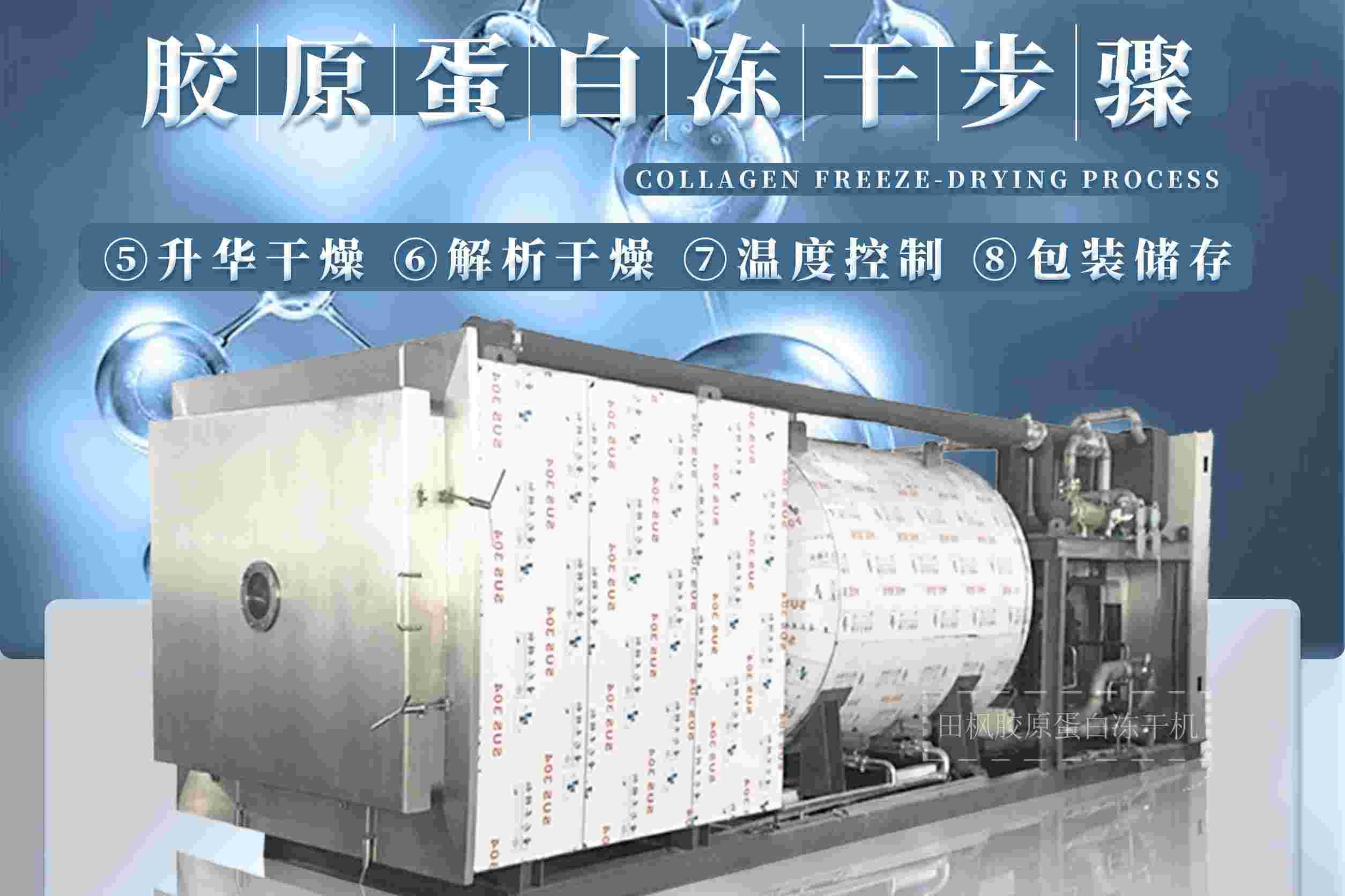冷凍干燥機|凍干機|真空冷凍干燥機|大型冷凍干燥機|食品凍干機|制藥真空冷凍干燥機|食品凍干設備|制藥冷凍干燥機