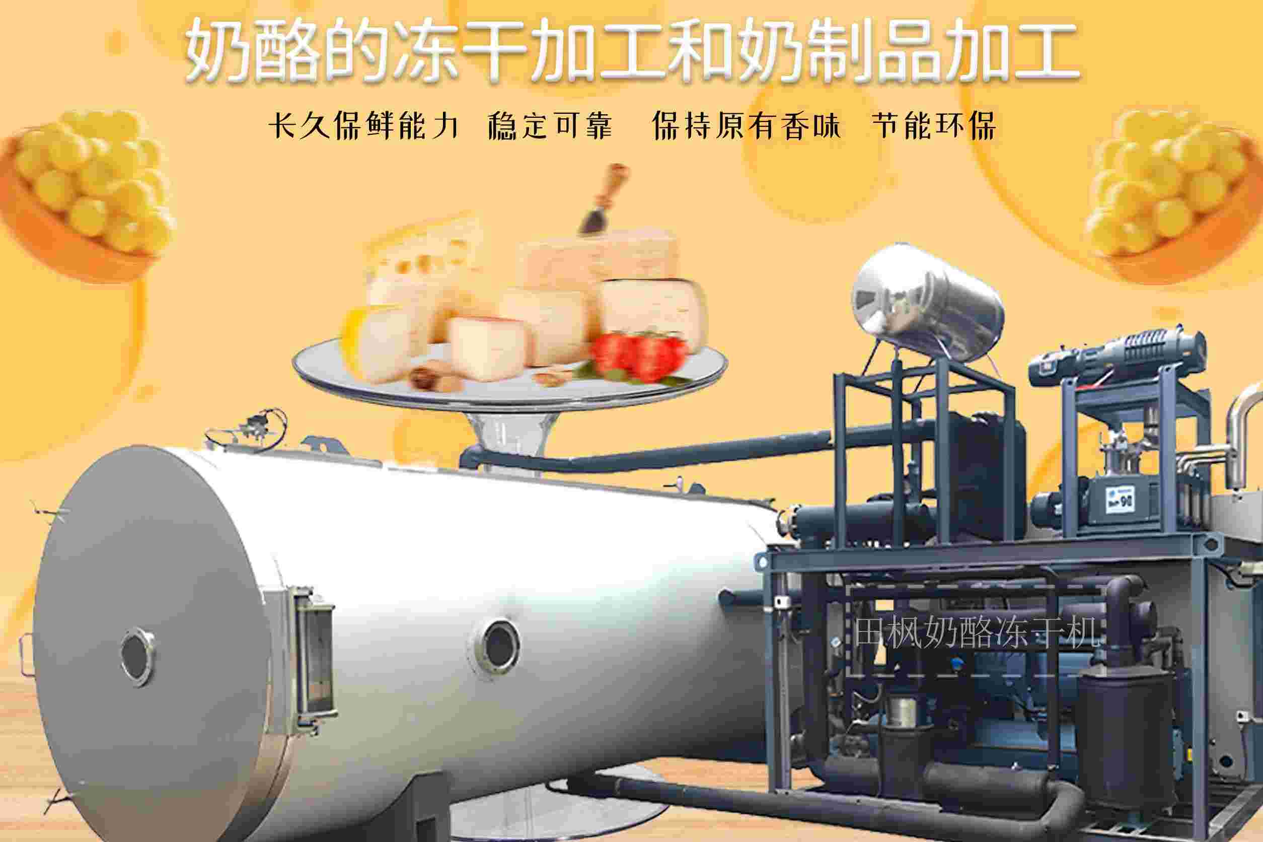 冷凍干燥機|凍干機|真空冷凍干燥機|大型冷凍干燥機|食品凍干機|制藥真空冷凍干燥機|食品凍干設(shè)備|制藥冷凍干燥機