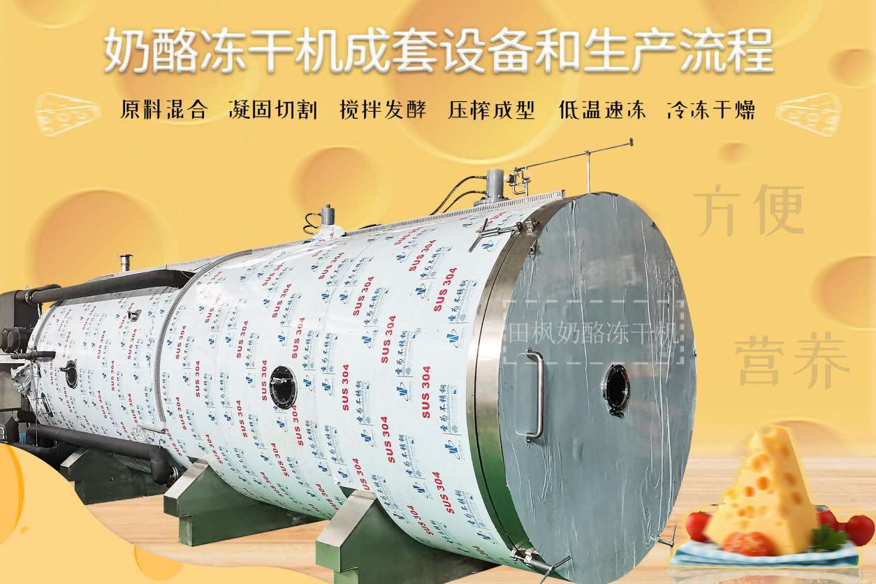 冷凍干燥機|凍干機|真空冷凍干燥機|大型冷凍干燥機|食品凍干機|制藥真空冷凍干燥機|食品凍干設(shè)備|制藥冷凍干燥機