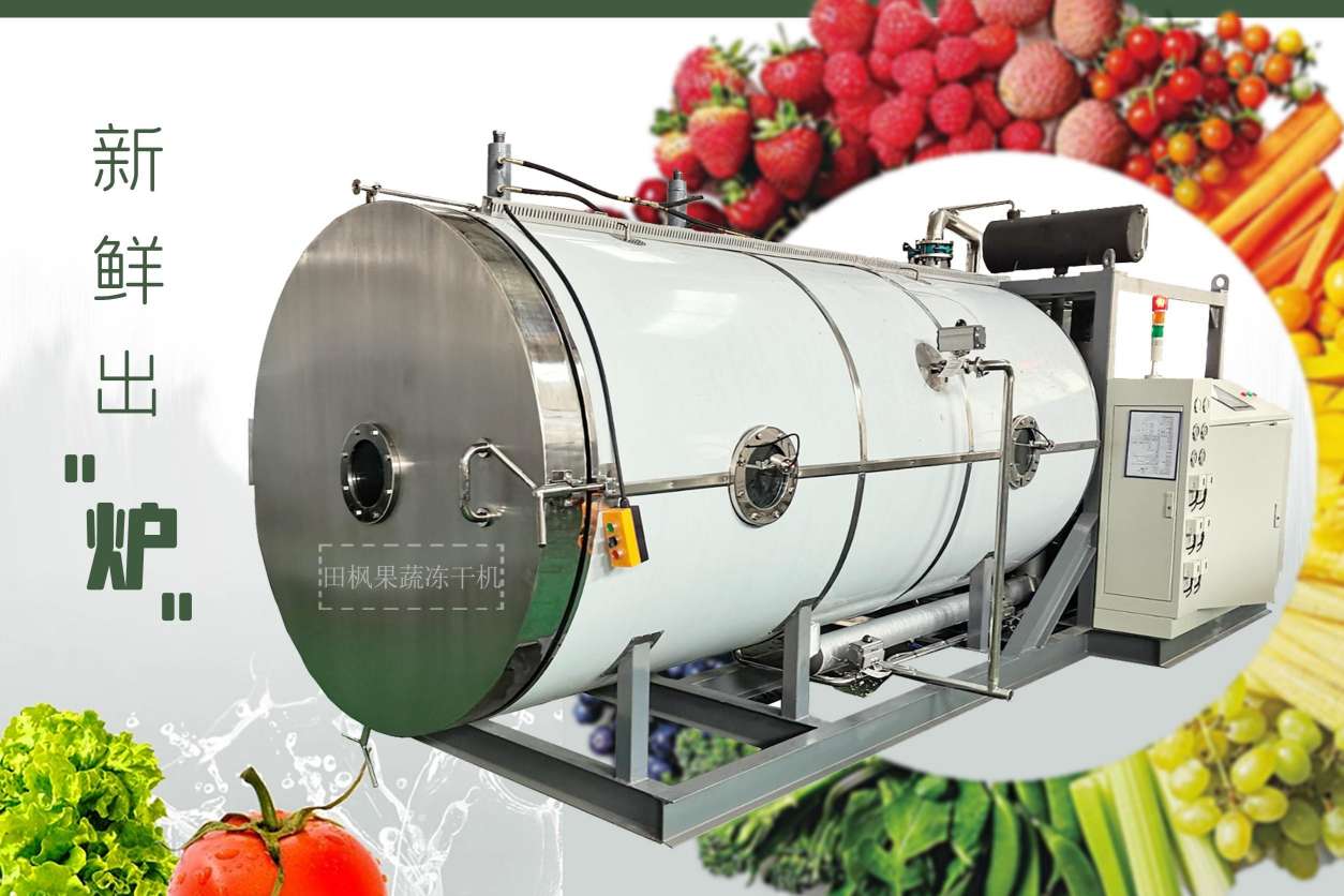 冷凍干燥機|凍干機|真空冷凍干燥機|大型冷凍干燥機|食品凍干機|制藥真空冷凍干燥機|食品凍干設(shè)備|制藥冷凍干燥機