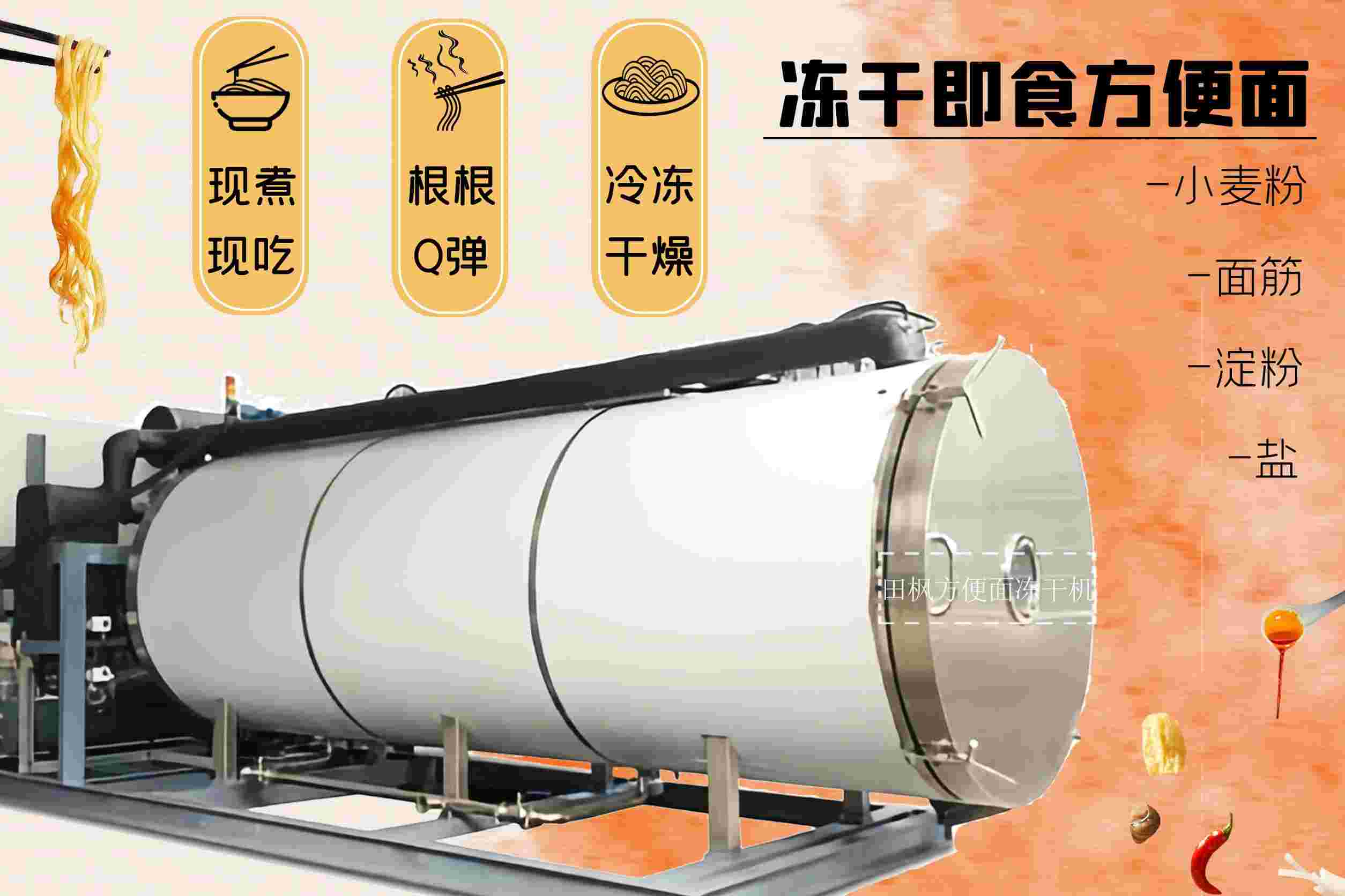 冷凍干燥機|凍干機|真空冷凍干燥機|大型冷凍干燥機|食品凍干機|制藥真空冷凍干燥機|食品凍干設(shè)備|制藥冷凍干燥機