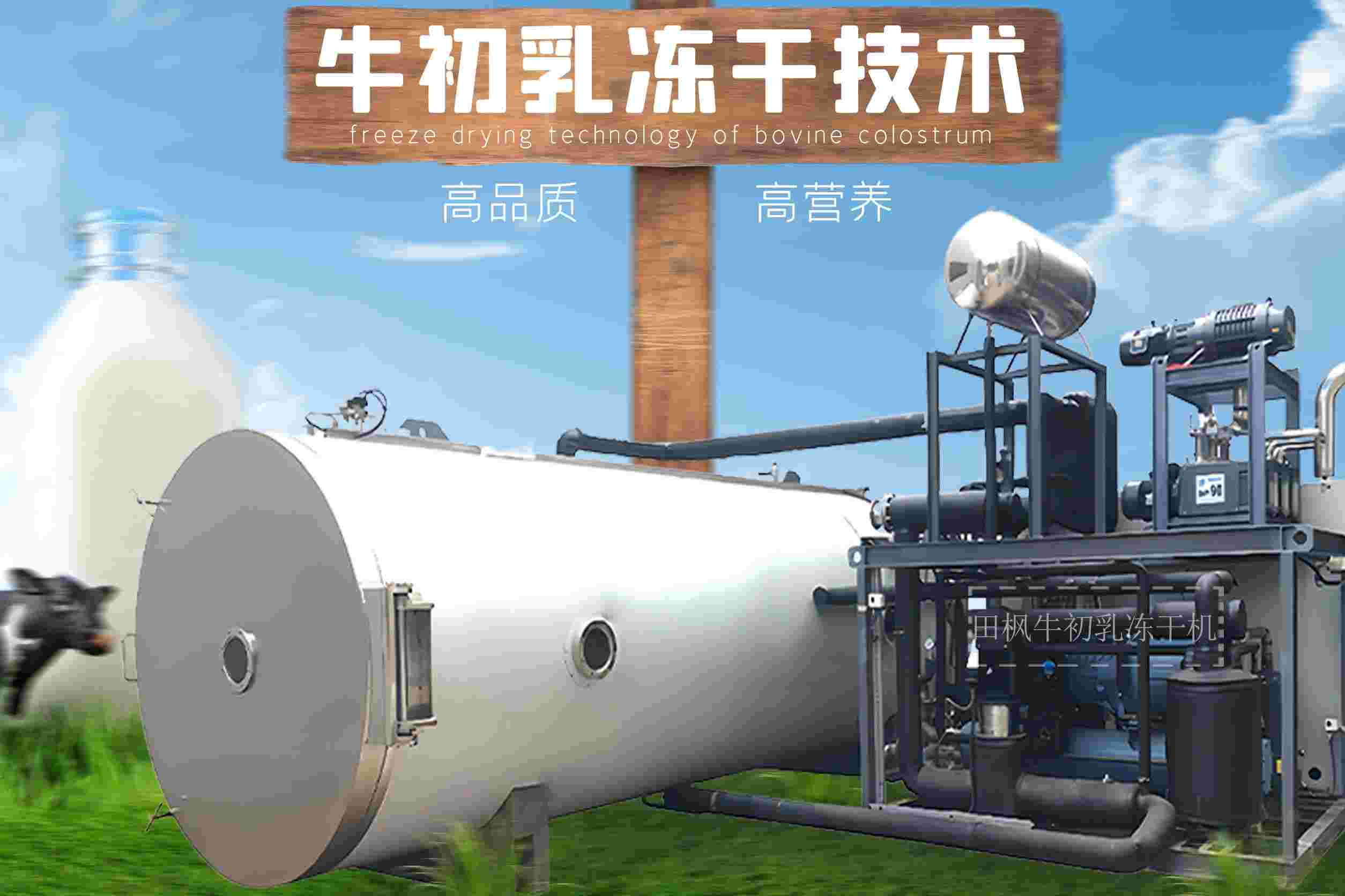 冷凍干燥機(jī)|凍干機(jī)|真空冷凍干燥機(jī)|大型冷凍干燥機(jī)|食品凍干機(jī)|制藥真空冷凍干燥機(jī)|食品凍干設(shè)備|制藥冷凍干燥機(jī)