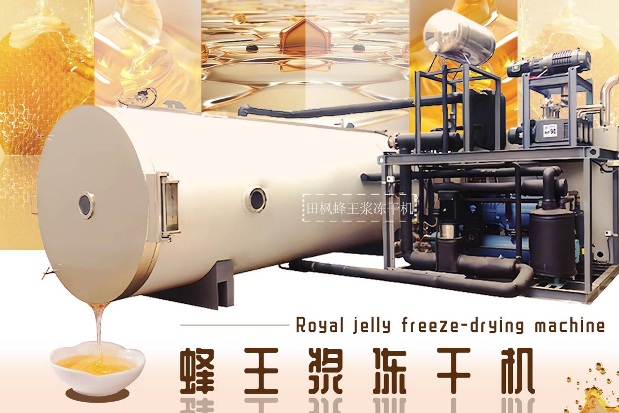 冷凍干燥機(jī)|凍干機(jī)|真空冷凍干燥機(jī)|大型冷凍干燥機(jī)|食品凍干機(jī)|制藥真空冷凍干燥機(jī)|食品凍干設(shè)備|制藥冷凍干燥機(jī)
