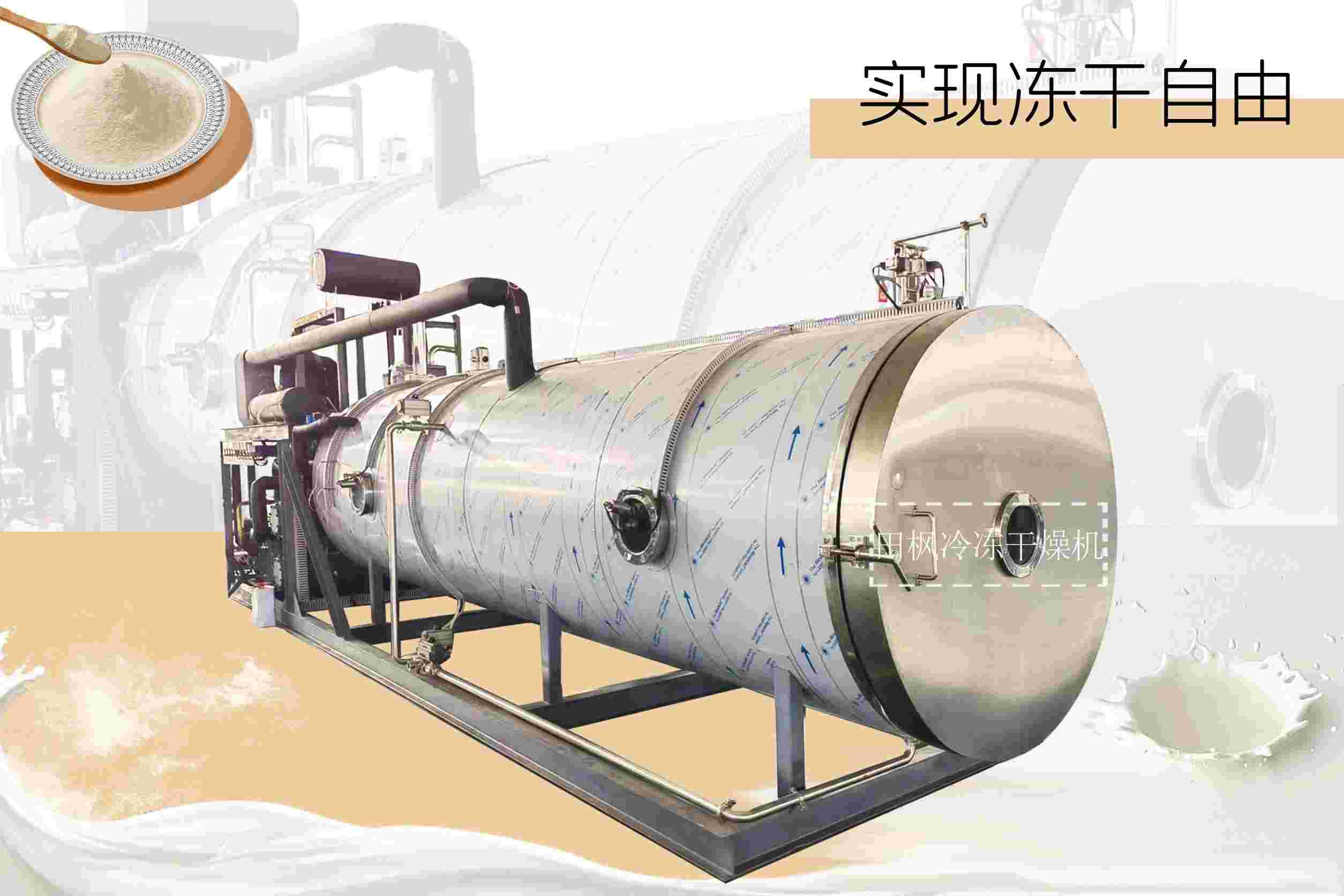 冷凍干燥機|凍干機|真空冷凍干燥機|大型冷凍干燥機|食品凍干機|制藥真空冷凍干燥機|食品凍干設備|制藥冷凍干燥機