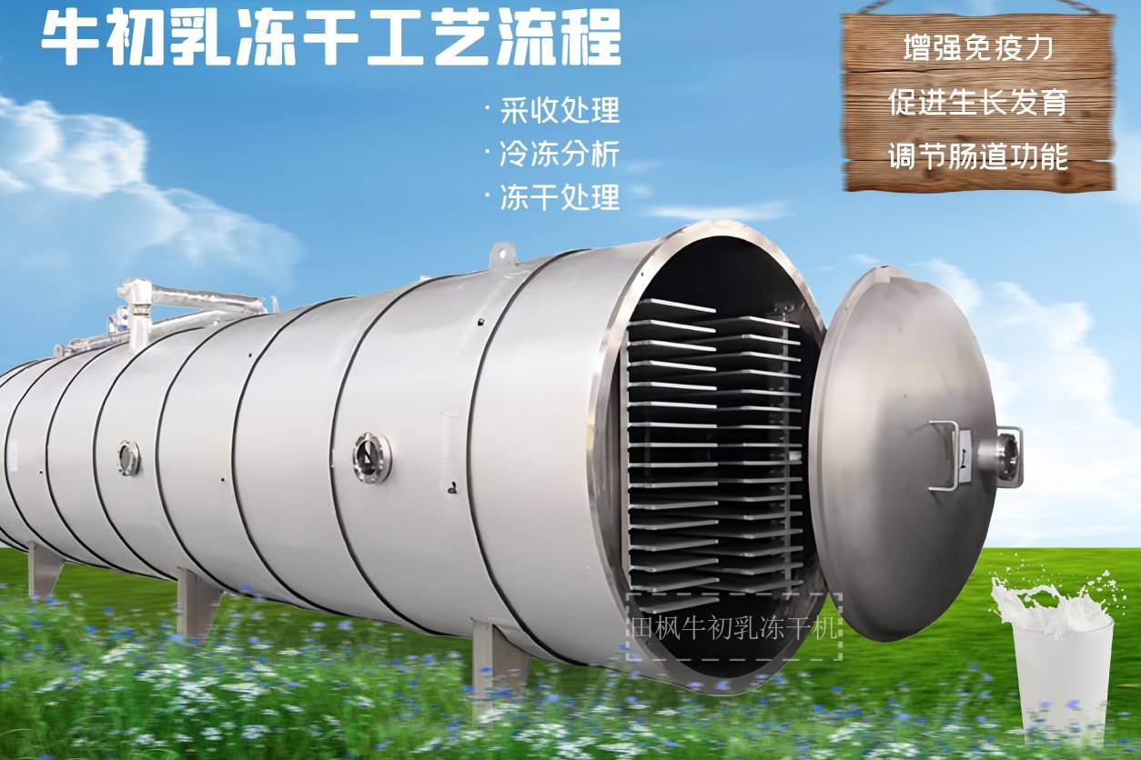 冷凍干燥機|凍干機|真空冷凍干燥機|大型冷凍干燥機|食品凍干機|制藥真空冷凍干燥機|食品凍干設備|制藥冷凍干燥機