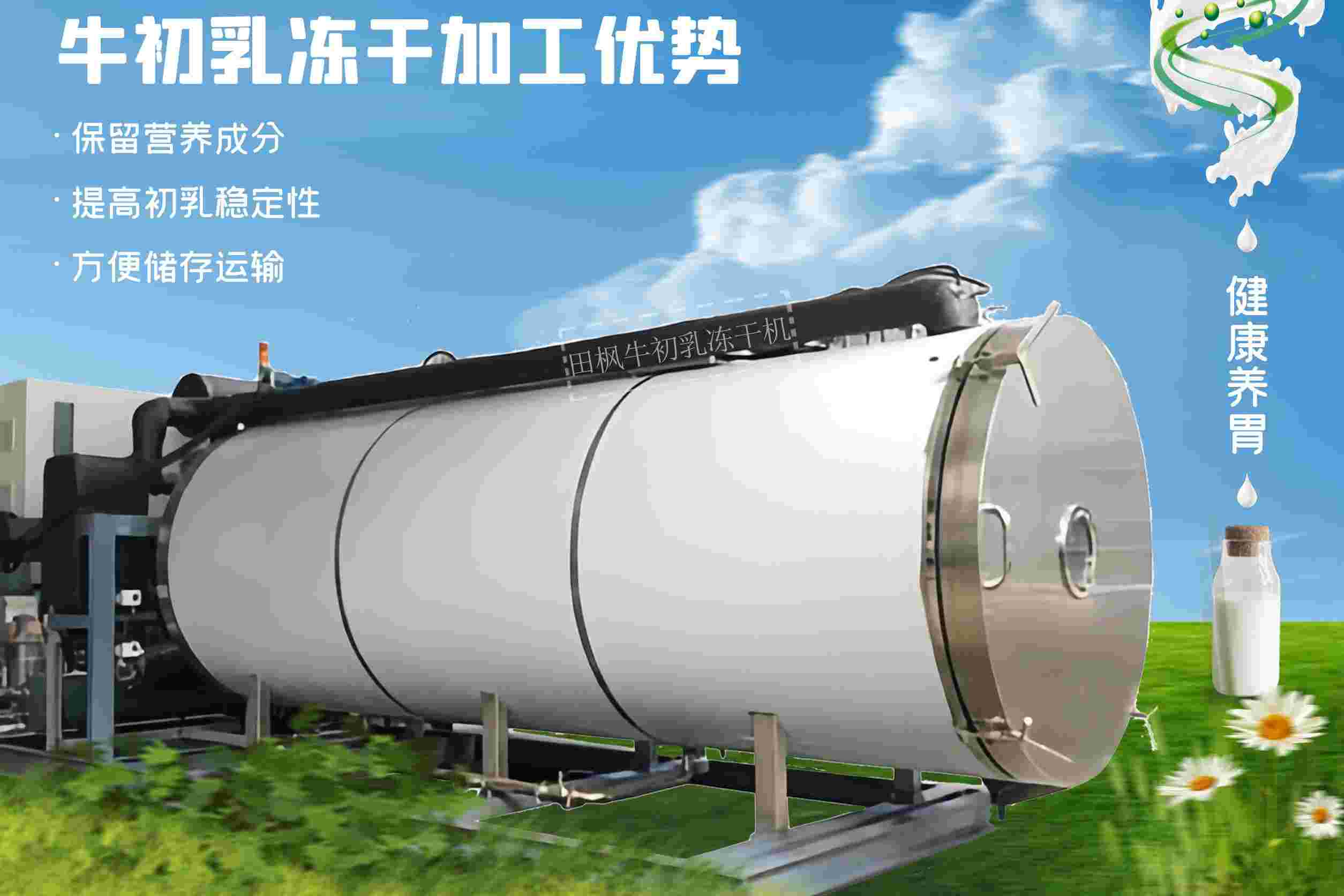 冷凍干燥機|凍干機|真空冷凍干燥機|大型冷凍干燥機|食品凍干機|制藥真空冷凍干燥機|食品凍干設備|制藥冷凍干燥機