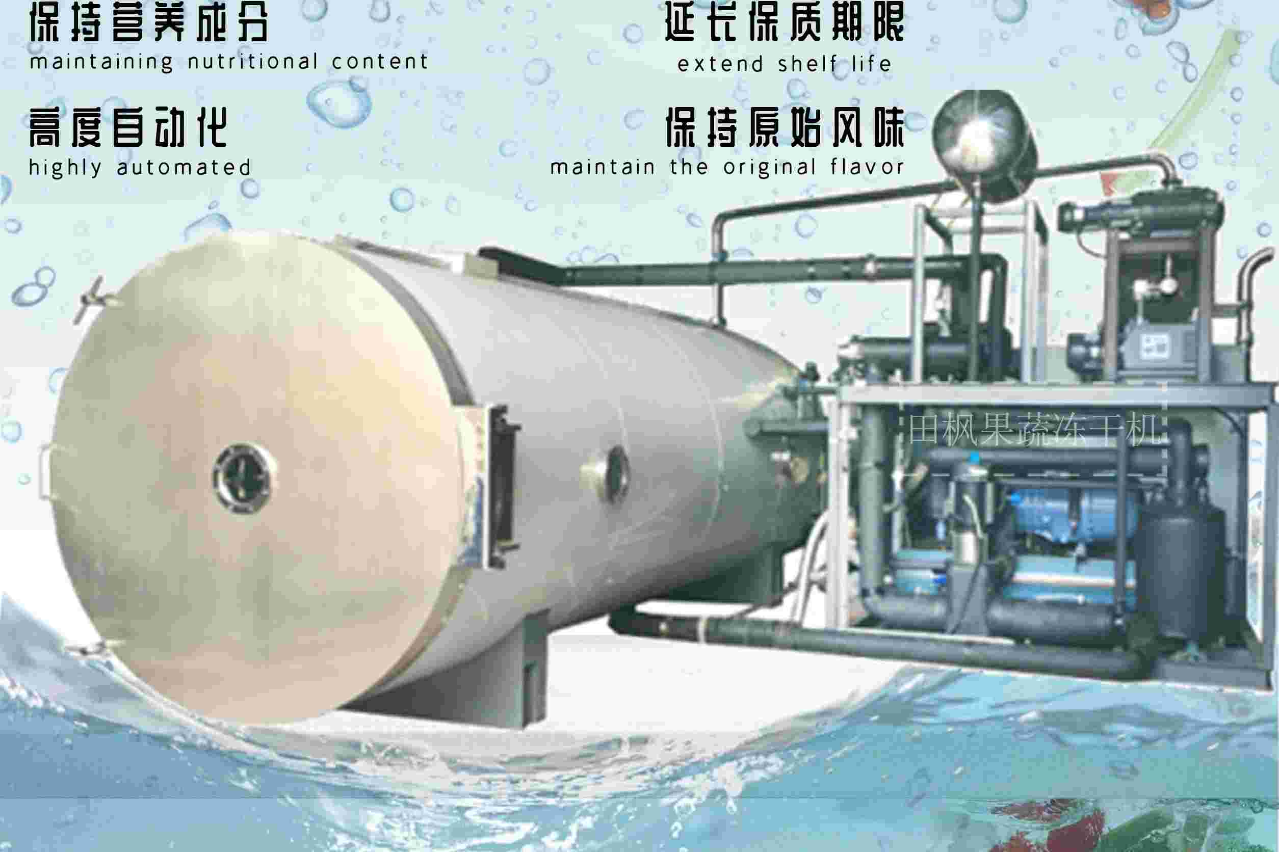 冷凍干燥機|凍干機|真空冷凍干燥機|大型冷凍干燥機|食品凍干機|制藥真空冷凍干燥機|食品凍干設(shè)備|制藥冷凍干燥機 冷凍干燥機|凍干機|真空冷凍干燥機|大型冷凍干燥機|食品凍干機|制藥真空冷凍干燥機|食品凍干設(shè)備|制藥冷凍干燥機