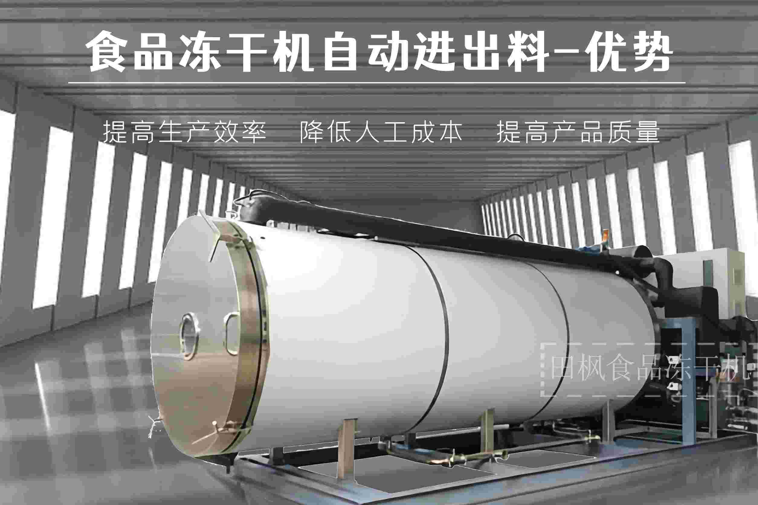 冷凍干燥機(jī)|凍干機(jī)|真空冷凍干燥機(jī)|大型冷凍干燥機(jī)|食品凍干機(jī)|制藥真空冷凍干燥機(jī)|食品凍干設(shè)備|制藥冷凍干燥機(jī)
