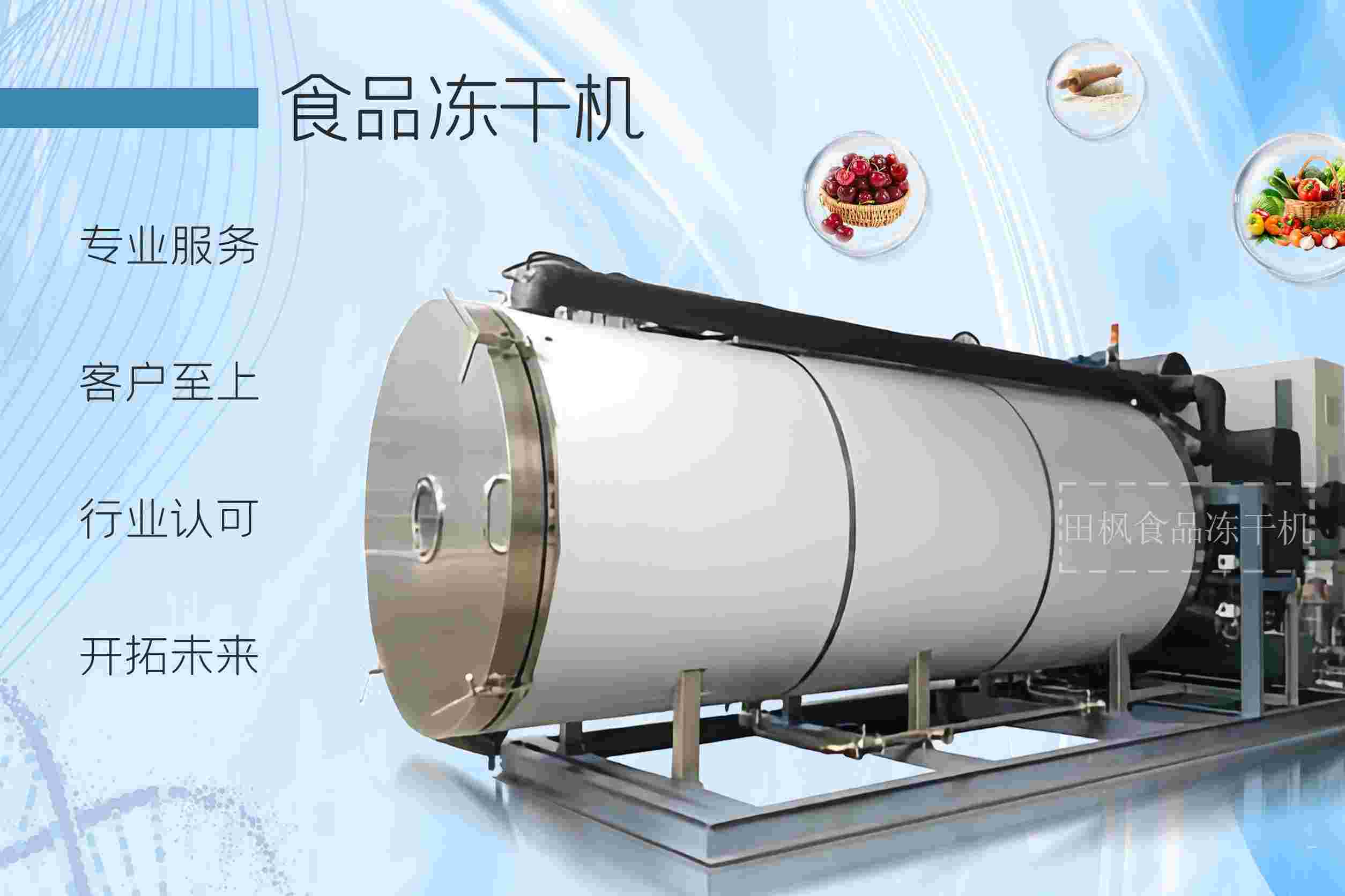 冷凍干燥機|凍干機|真空冷凍干燥機|大型冷凍干燥機|食品凍干機|制藥真空冷凍干燥機|食品凍干設(shè)備|制藥冷凍干燥機
