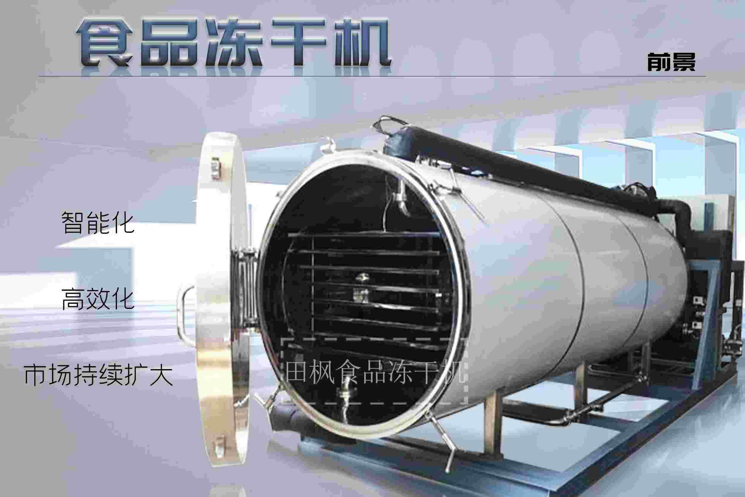 冷凍干燥機(jī)|凍干機(jī)|真空冷凍干燥機(jī)|大型冷凍干燥機(jī)|食品凍干機(jī)|制藥真空冷凍干燥機(jī)|食品凍干設(shè)備|制藥冷凍干燥機(jī)