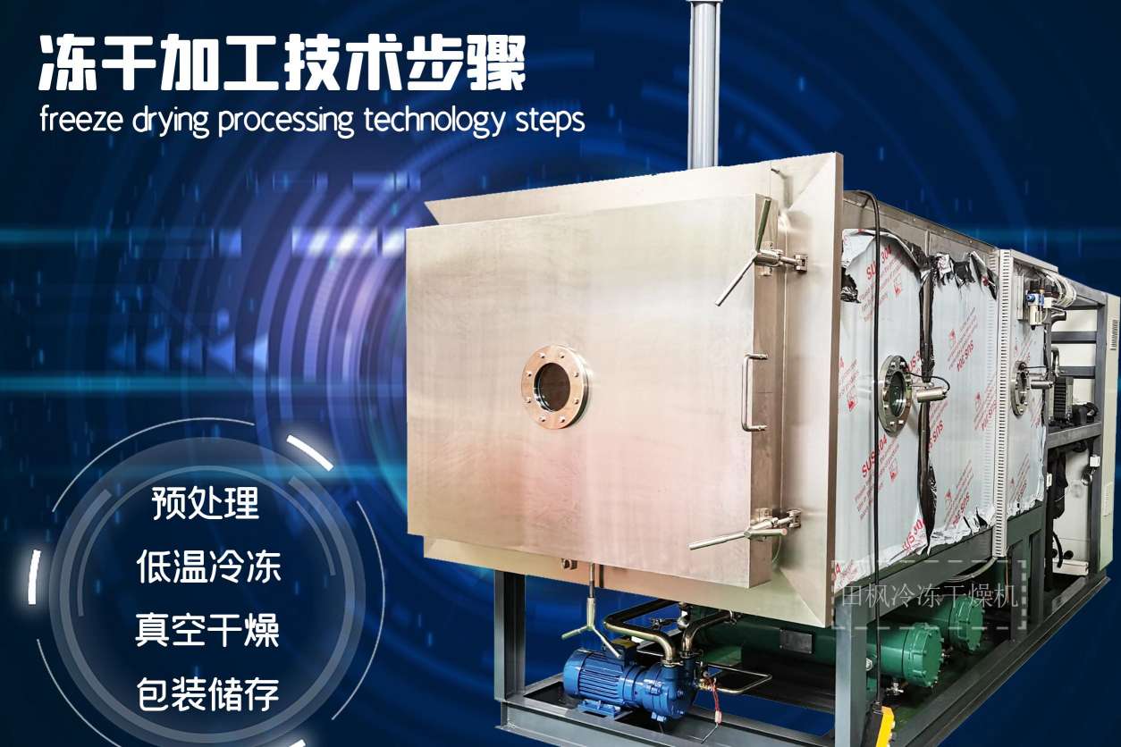 冷凍干燥機|凍干機|真空冷凍干燥機|大型冷凍干燥機|食品凍干機|制藥真空冷凍干燥機|食品凍干設(shè)備|制藥冷凍干燥機