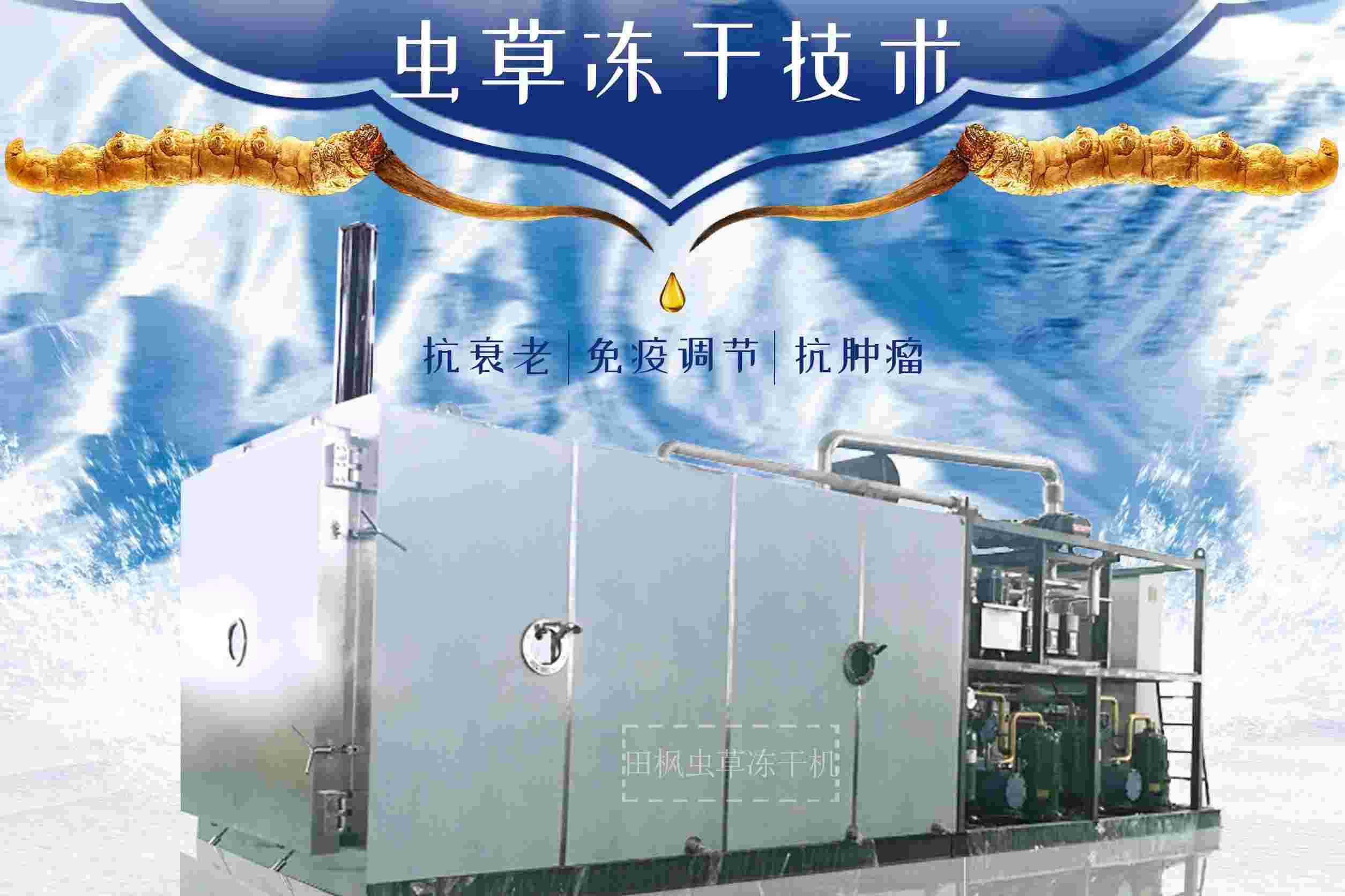 冷凍干燥機(jī)|凍干機(jī)|真空冷凍干燥機(jī)|大型冷凍干燥機(jī)|食品凍干機(jī)|制藥真空冷凍干燥機(jī)|食品凍干設(shè)備|制藥冷凍干燥機(jī)