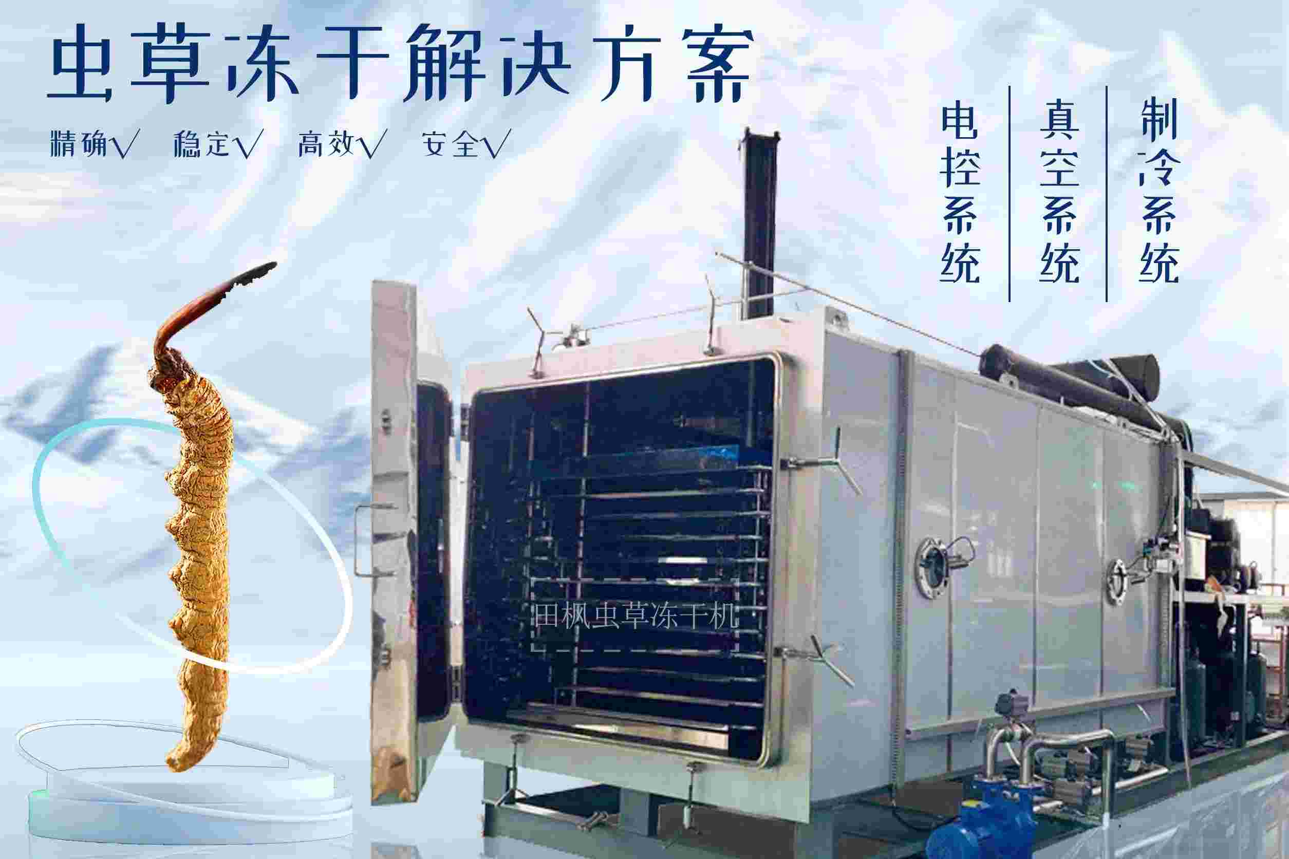冷凍干燥機(jī)|凍干機(jī)|真空冷凍干燥機(jī)|大型冷凍干燥機(jī)|食品凍干機(jī)|制藥真空冷凍干燥機(jī)|食品凍干設(shè)備|制藥冷凍干燥機(jī)