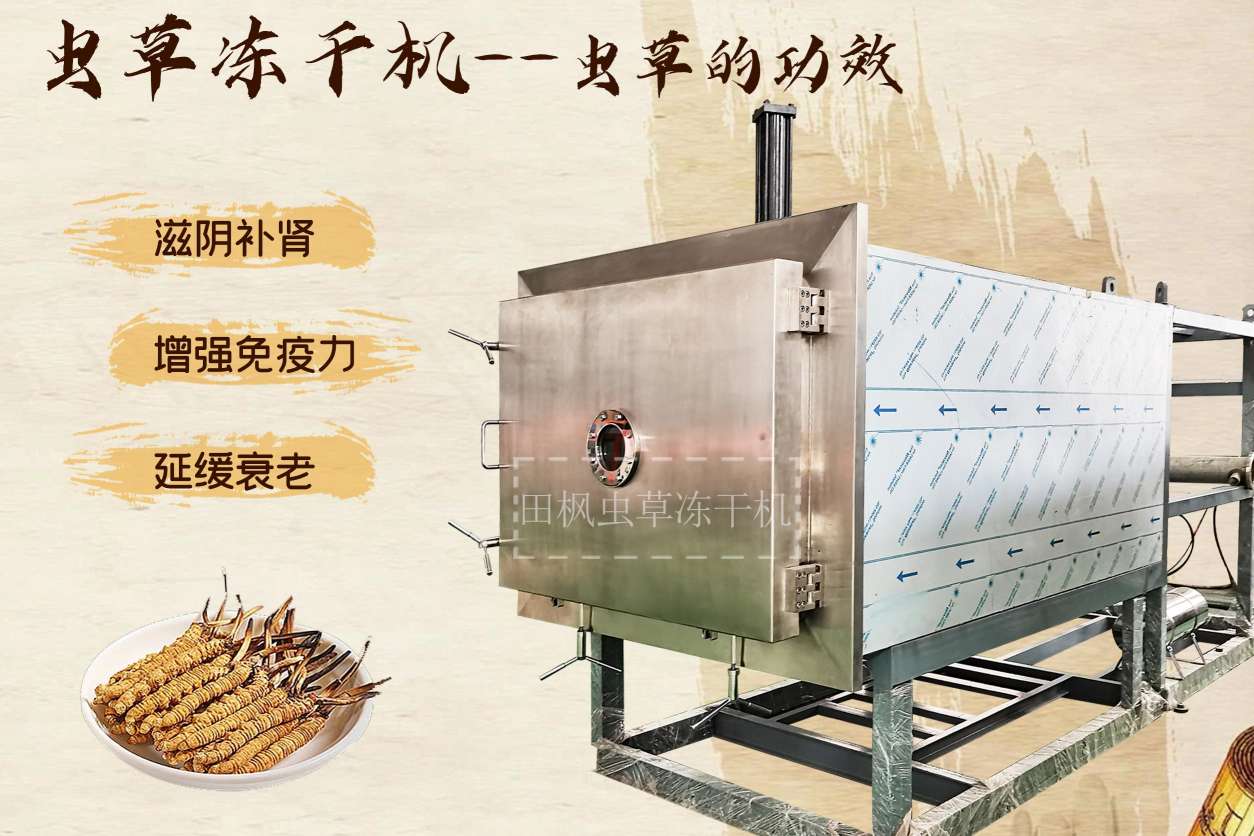 冷凍干燥機(jī)|凍干機(jī)|真空冷凍干燥機(jī)|大型冷凍干燥機(jī)|食品凍干機(jī)|制藥真空冷凍干燥機(jī)|食品凍干設(shè)備|制藥冷凍干燥機(jī)