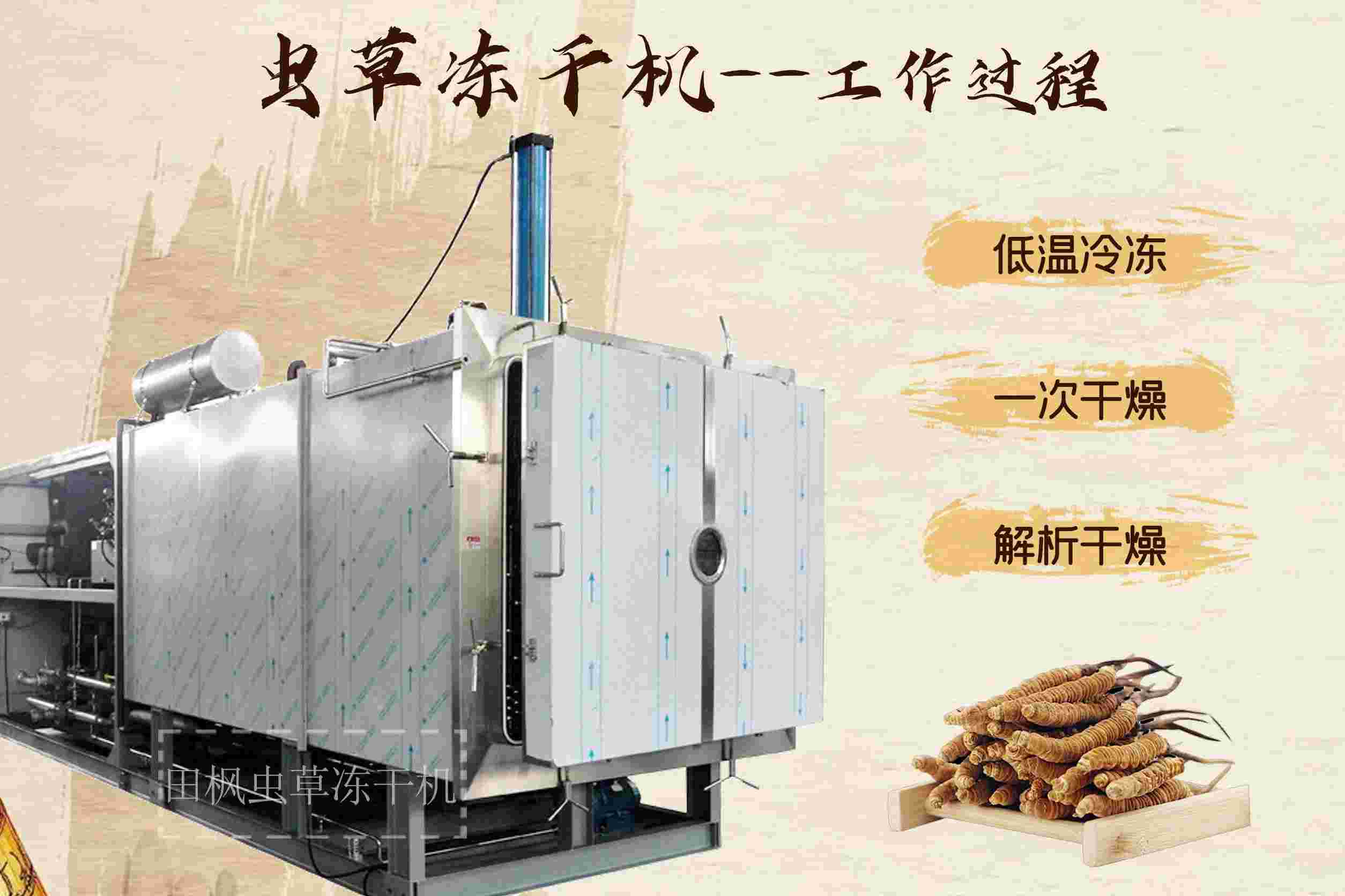 冷凍干燥機(jī)|凍干機(jī)|真空冷凍干燥機(jī)|大型冷凍干燥機(jī)|食品凍干機(jī)|制藥真空冷凍干燥機(jī)|食品凍干設(shè)備|制藥冷凍干燥機(jī)