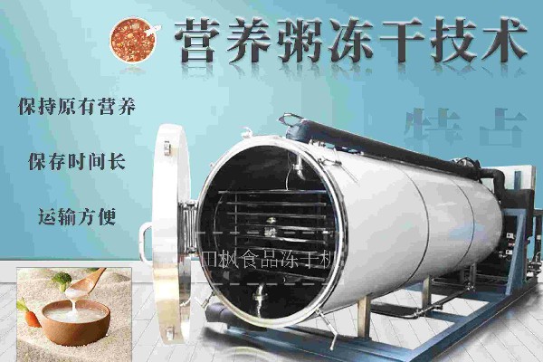 冷凍干燥機|凍干機|真空冷凍干燥機|大型冷凍干燥機|食品凍干機|制藥真空冷凍干燥機|食品凍干設(shè)備|制藥冷凍干燥機
