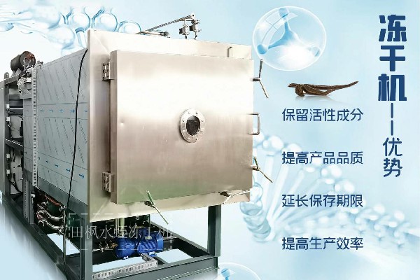 冷凍干燥機(jī)|凍干機(jī)|真空冷凍干燥機(jī)|大型冷凍干燥機(jī)|食品凍干機(jī)|制藥真空冷凍干燥機(jī)|食品凍干設(shè)備|制藥冷凍干燥機(jī)