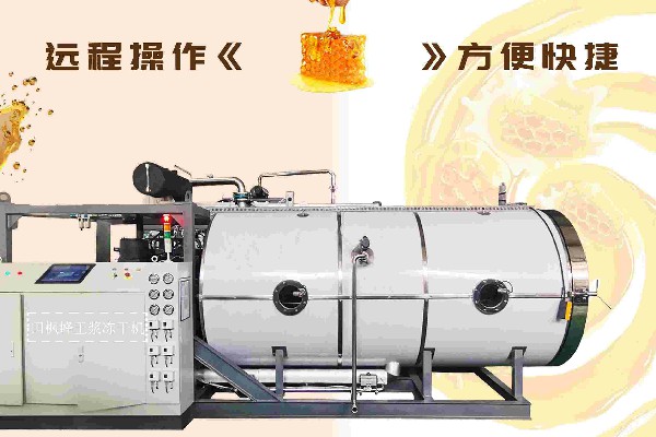 冷凍干燥機(jī)|凍干機(jī)|真空冷凍干燥機(jī)|大型冷凍干燥機(jī)|食品凍干機(jī)|制藥真空冷凍干燥機(jī)|食品凍干設(shè)備|制藥冷凍干燥機(jī)