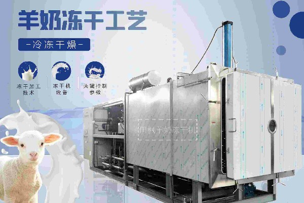 冷凍干燥機|凍干機|真空冷凍干燥機|大型冷凍干燥機|食品凍干機|制藥真空冷凍干燥機|食品凍干設備|制藥冷凍干燥機