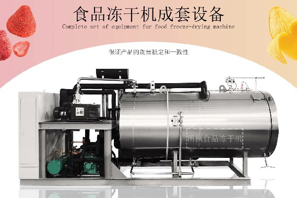 冷凍干燥機|凍干機|真空冷凍干燥機|大型冷凍干燥機|食品凍干機|制藥真空冷凍干燥機|食品凍干設(shè)備|制藥冷凍干燥機