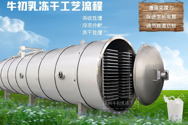 冷凍干燥機(jī)|凍干機(jī)|真空冷凍干燥機(jī)|大型冷凍干燥機(jī)|食品凍干機(jī)|制藥真空冷凍干燥機(jī)|食品凍干設(shè)備|制藥冷凍干燥機(jī)