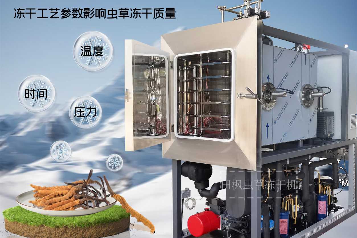 冷凍干燥機|凍干機|真空冷凍干燥機|大型冷凍干燥機|食品凍干機|制藥真空冷凍干燥機|食品凍干設(shè)備|制藥冷凍干燥機