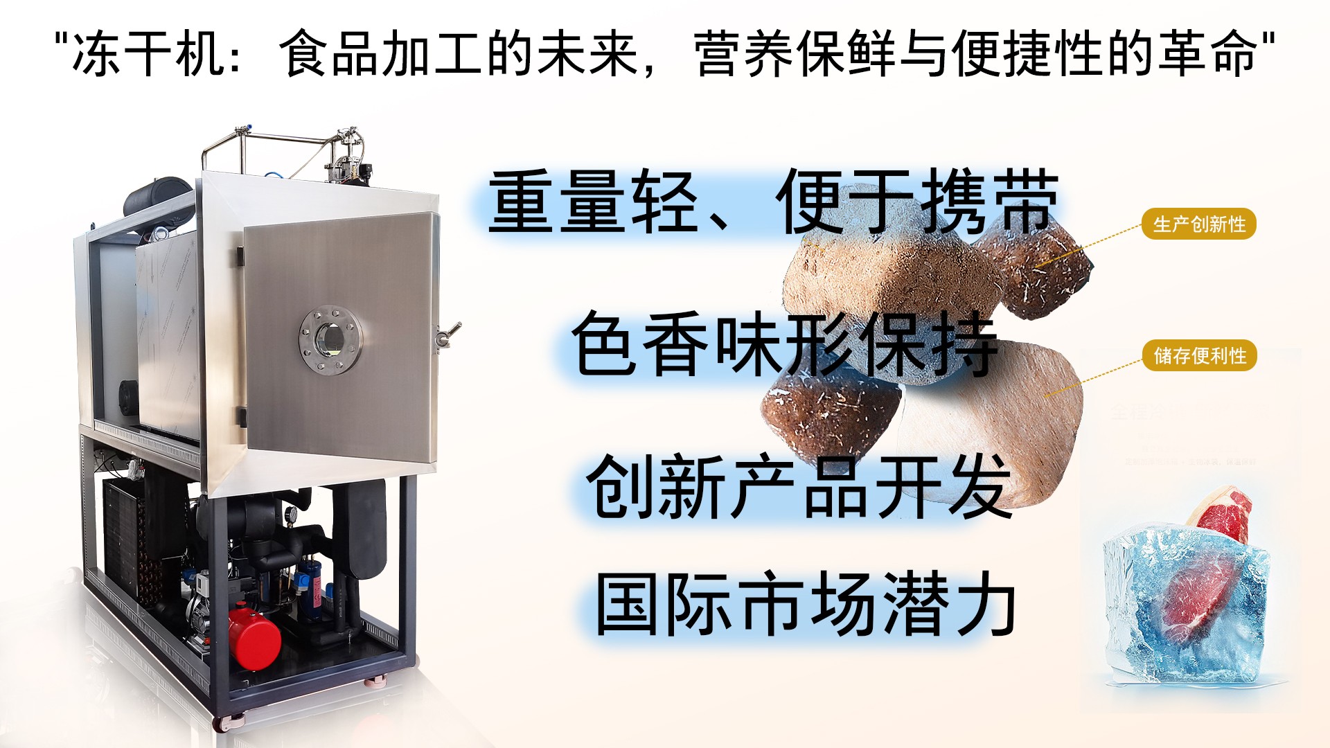 冷凍干燥機|凍干機|真空冷凍干燥機|大型冷凍干燥機|食品凍干機|制藥真空冷凍干燥機|食品凍干設備|制藥冷凍干燥機