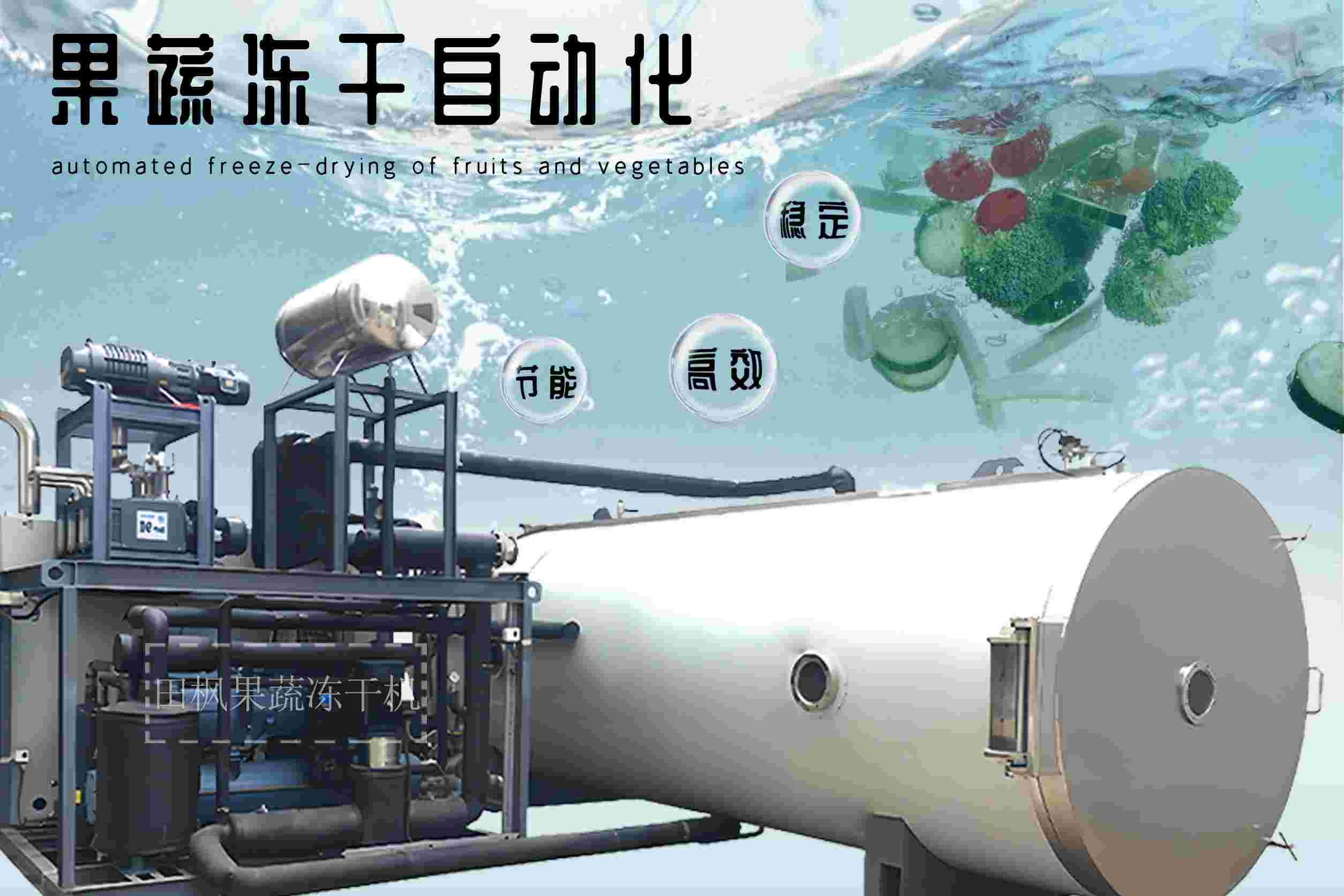 冷凍干燥機(jī)|凍干機(jī)|真空冷凍干燥機(jī)|大型冷凍干燥機(jī)|食品凍干機(jī)|制藥真空冷凍干燥機(jī)|食品凍干設(shè)備|制藥冷凍干燥機(jī)