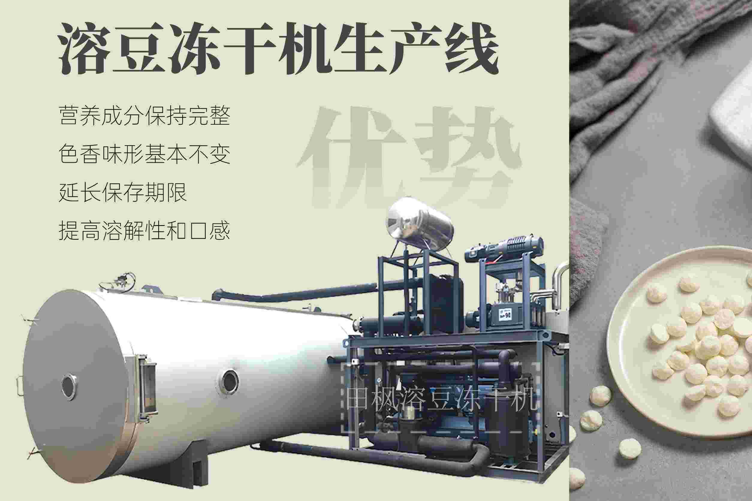 冷凍干燥機(jī)|凍干機(jī)|真空冷凍干燥機(jī)|大型冷凍干燥機(jī)|食品凍干機(jī)|制藥真空冷凍干燥機(jī)|食品凍干設(shè)備|制藥冷凍干燥機(jī)
