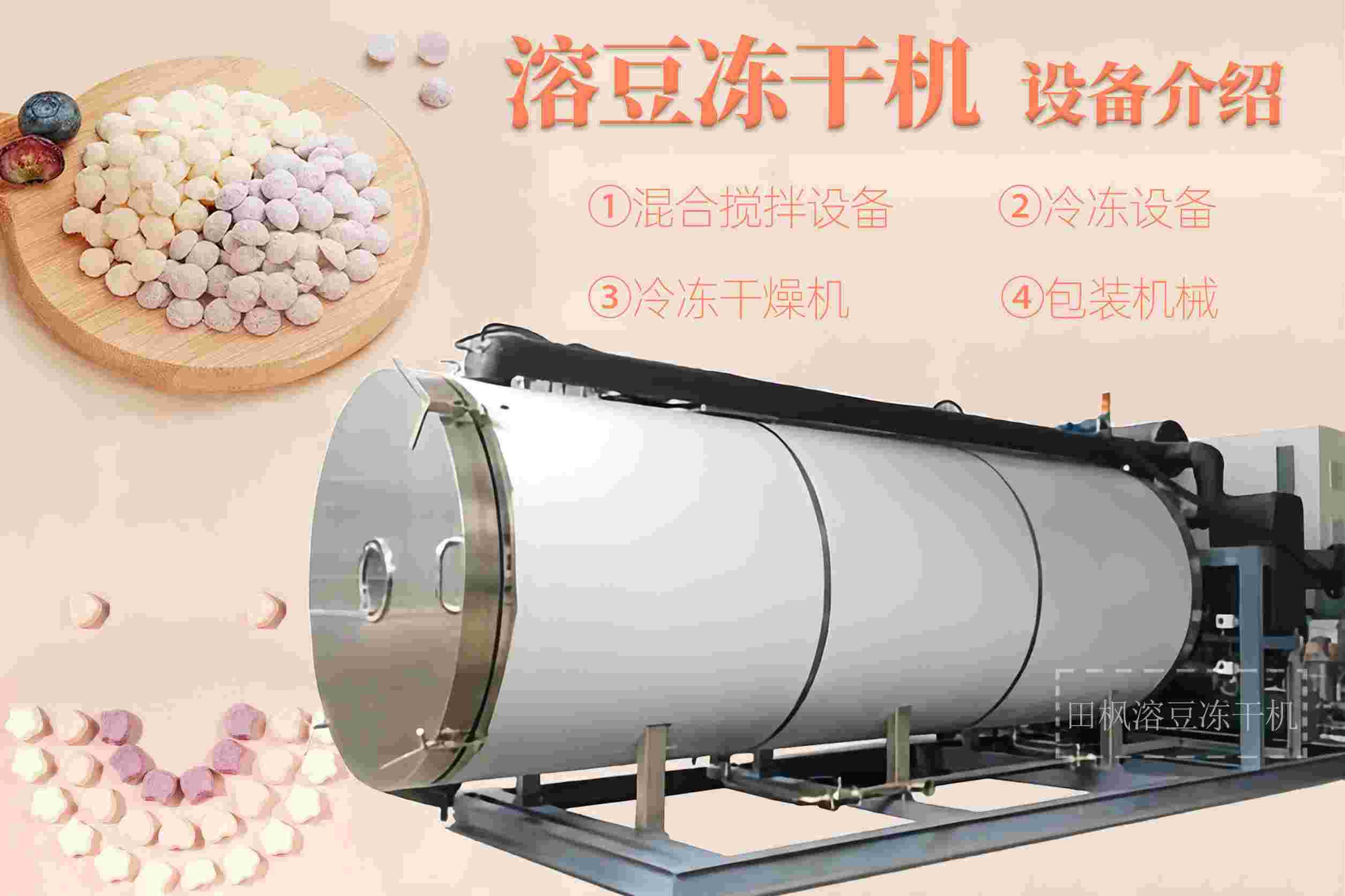 冷凍干燥機|凍干機|真空冷凍干燥機|大型冷凍干燥機|食品凍干機|制藥真空冷凍干燥機|食品凍干設(shè)備|制藥冷凍干燥機