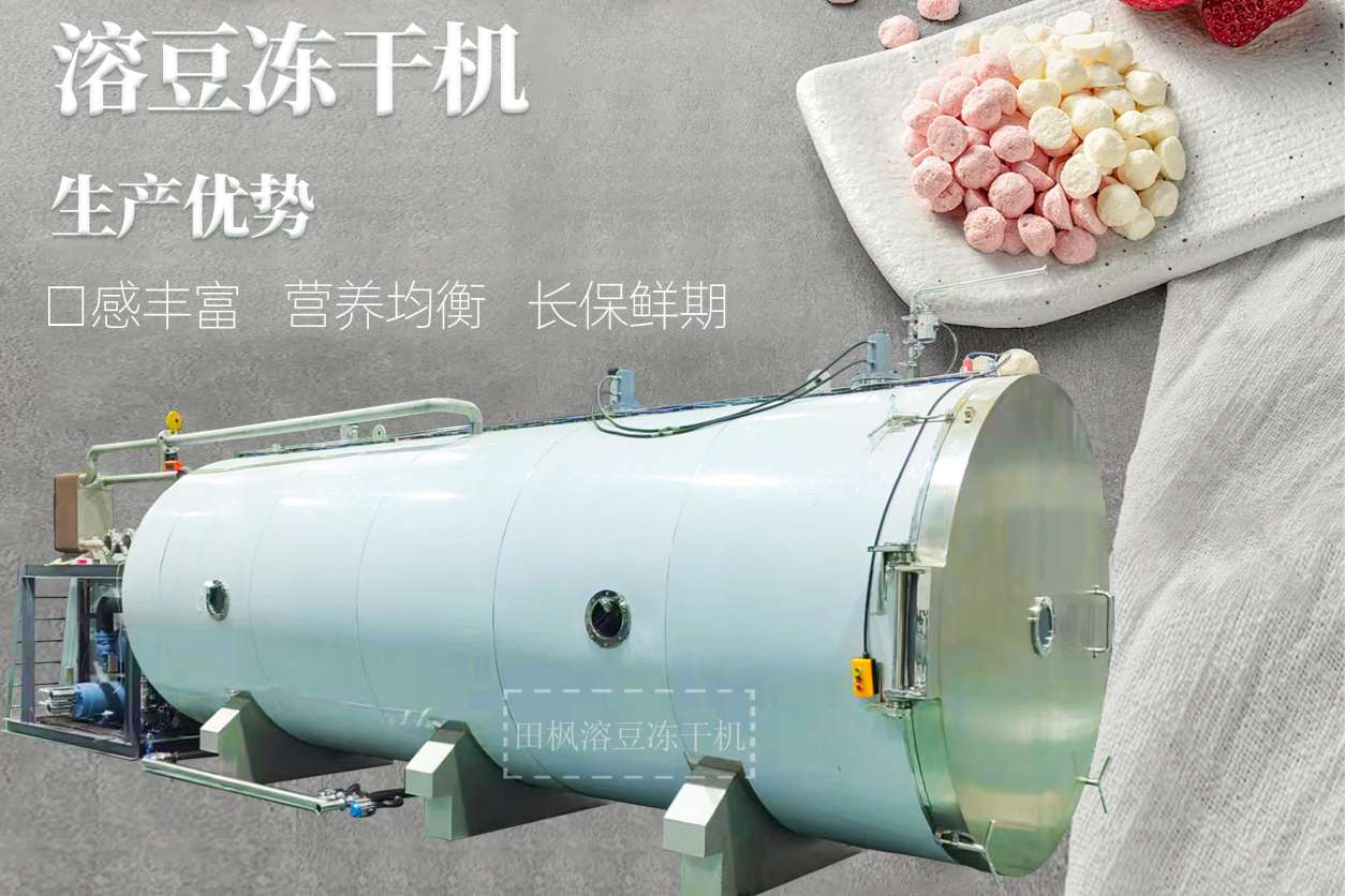 冷凍干燥機|凍干機|真空冷凍干燥機|大型冷凍干燥機|食品凍干機|制藥真空冷凍干燥機|食品凍干設(shè)備|制藥冷凍干燥機