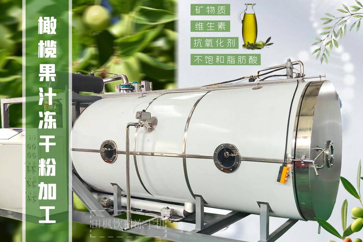 冷凍干燥機(jī)|凍干機(jī)|真空冷凍干燥機(jī)|大型冷凍干燥機(jī)|食品凍干機(jī)|制藥真空冷凍干燥機(jī)|食品凍干設(shè)備|制藥冷凍干燥機(jī)