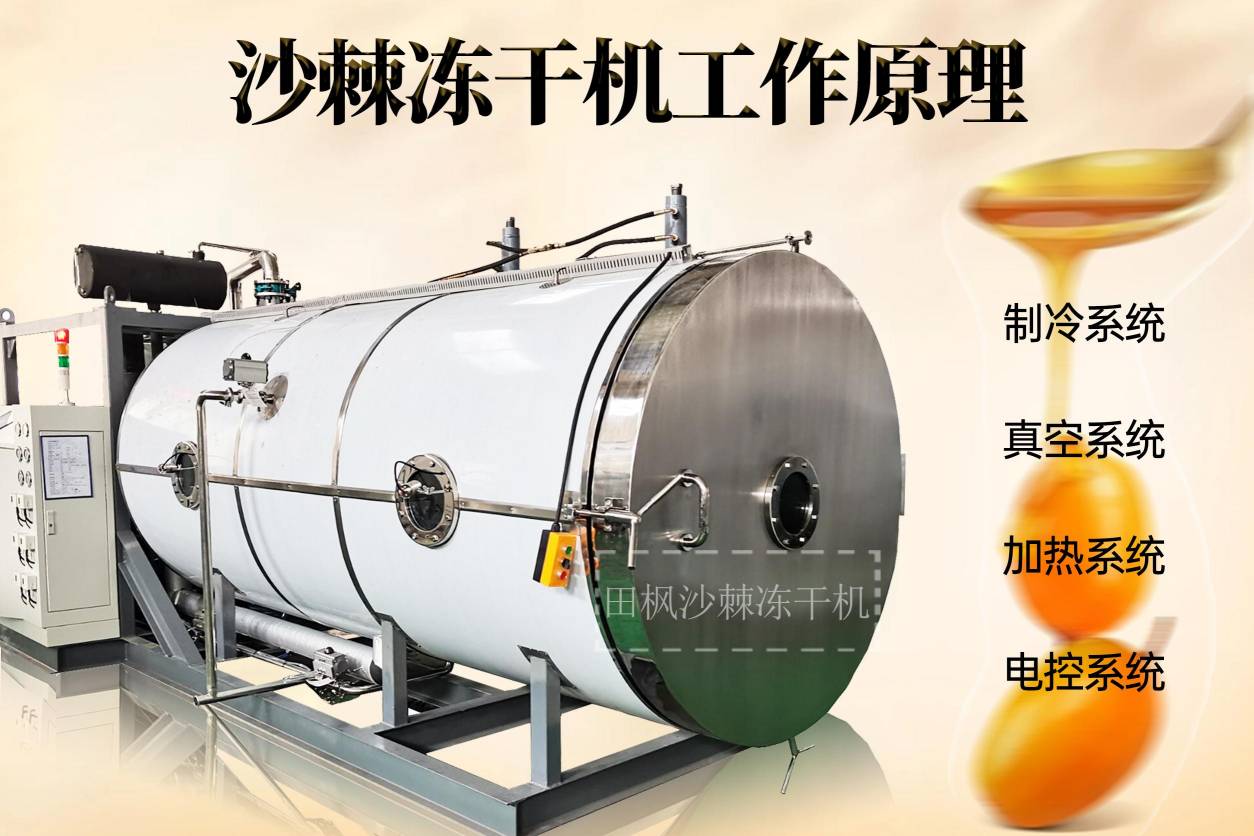冷凍干燥機(jī)|凍干機(jī)|真空冷凍干燥機(jī)|大型冷凍干燥機(jī)|食品凍干機(jī)|制藥真空冷凍干燥機(jī)|食品凍干設(shè)備|制藥冷凍干燥機(jī)