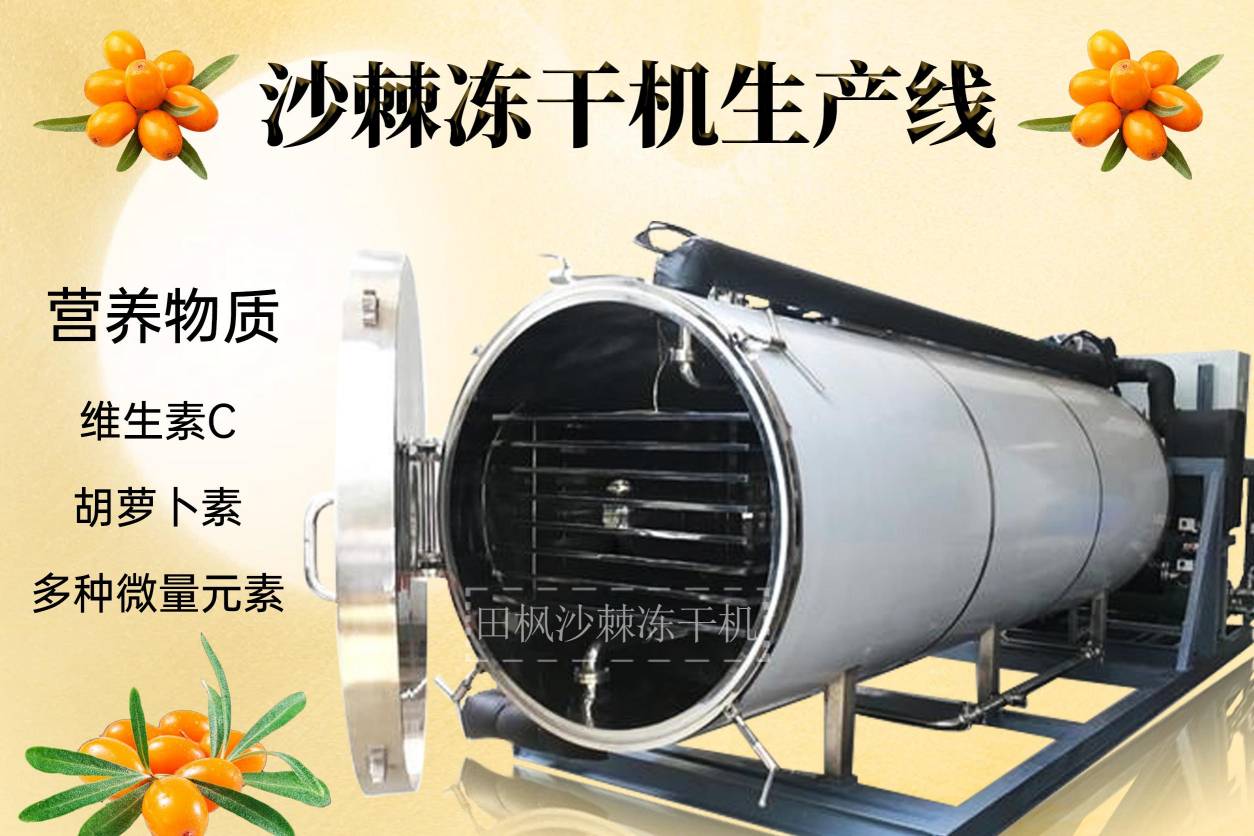冷凍干燥機(jī)|凍干機(jī)|真空冷凍干燥機(jī)|大型冷凍干燥機(jī)|食品凍干機(jī)|制藥真空冷凍干燥機(jī)|食品凍干設(shè)備|制藥冷凍干燥機(jī)