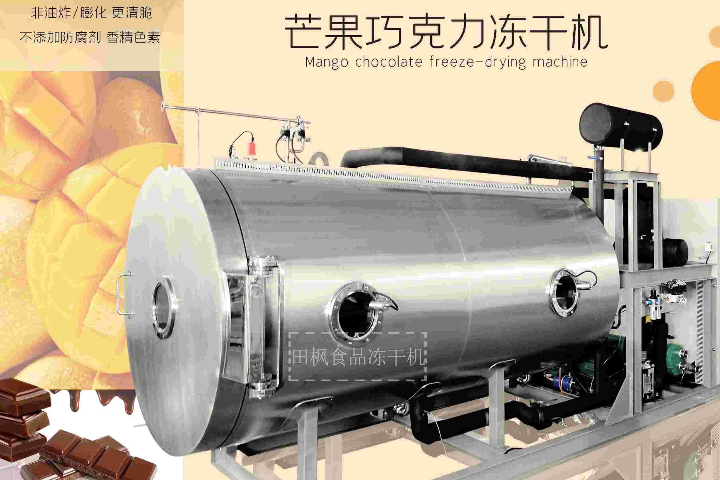 冷凍干燥機|凍干機|真空冷凍干燥機|大型冷凍干燥機|食品凍干機|制藥真空冷凍干燥機|食品凍干設備|制藥冷凍干燥機