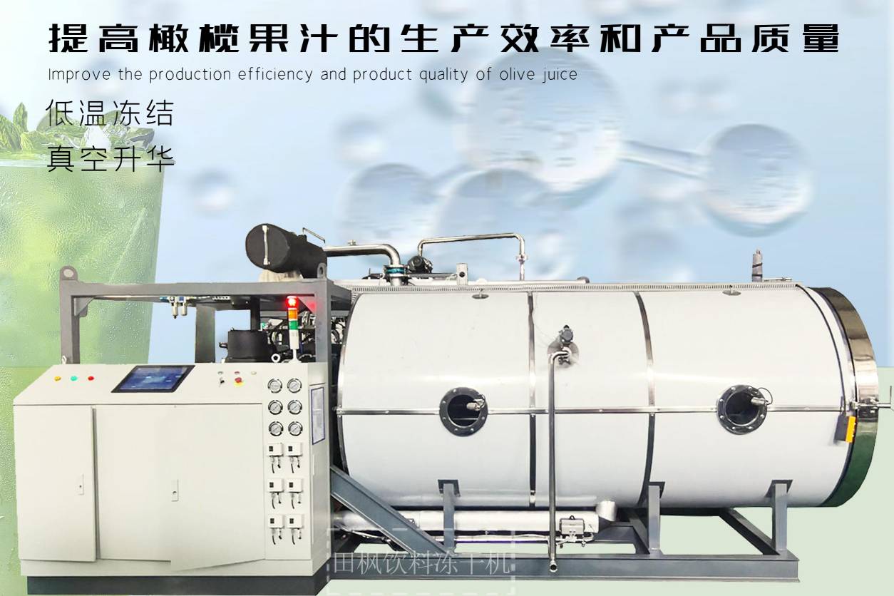 冷凍干燥機|凍干機|真空冷凍干燥機|大型冷凍干燥機|食品凍干機|制藥真空冷凍干燥機|食品凍干設備|制藥冷凍干燥機