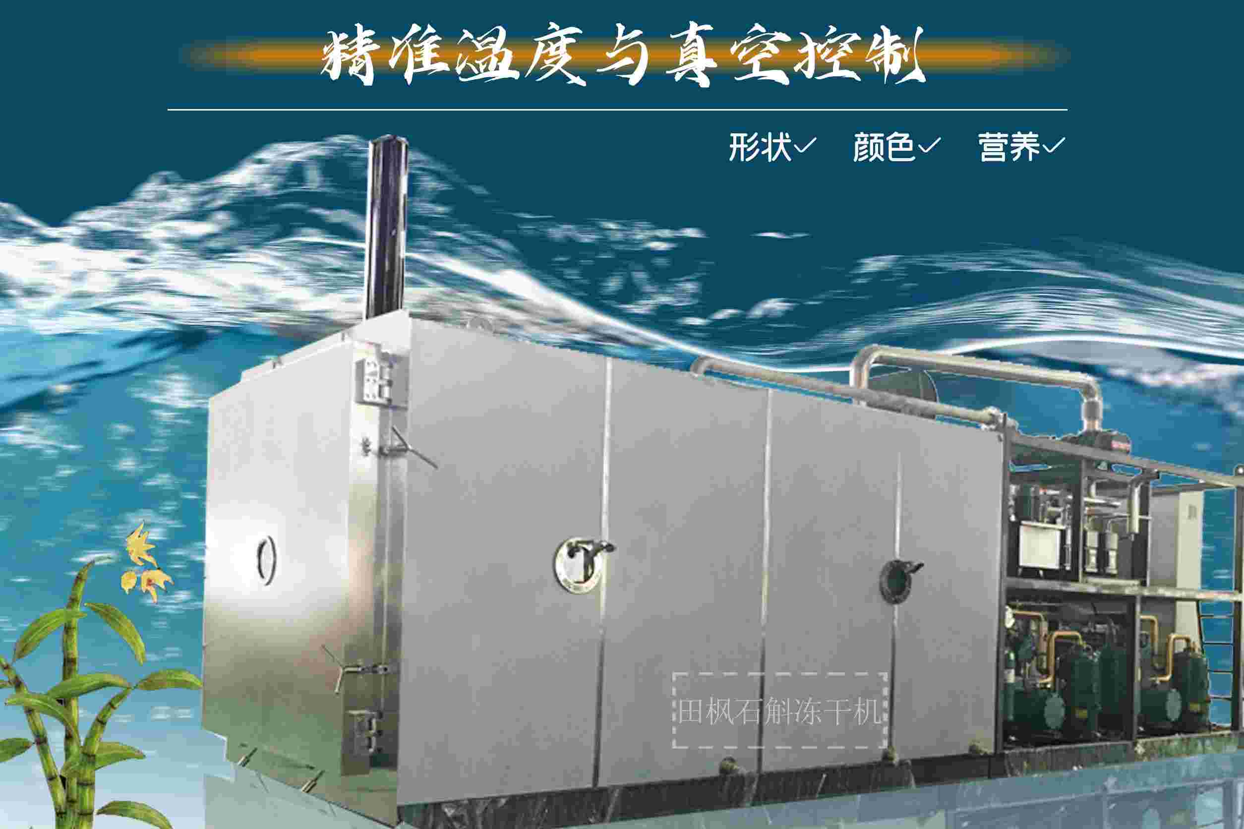 冷凍干燥機(jī)|凍干機(jī)|真空冷凍干燥機(jī)|大型冷凍干燥機(jī)|食品凍干機(jī)|制藥真空冷凍干燥機(jī)|食品凍干設(shè)備|制藥冷凍干燥機(jī)
