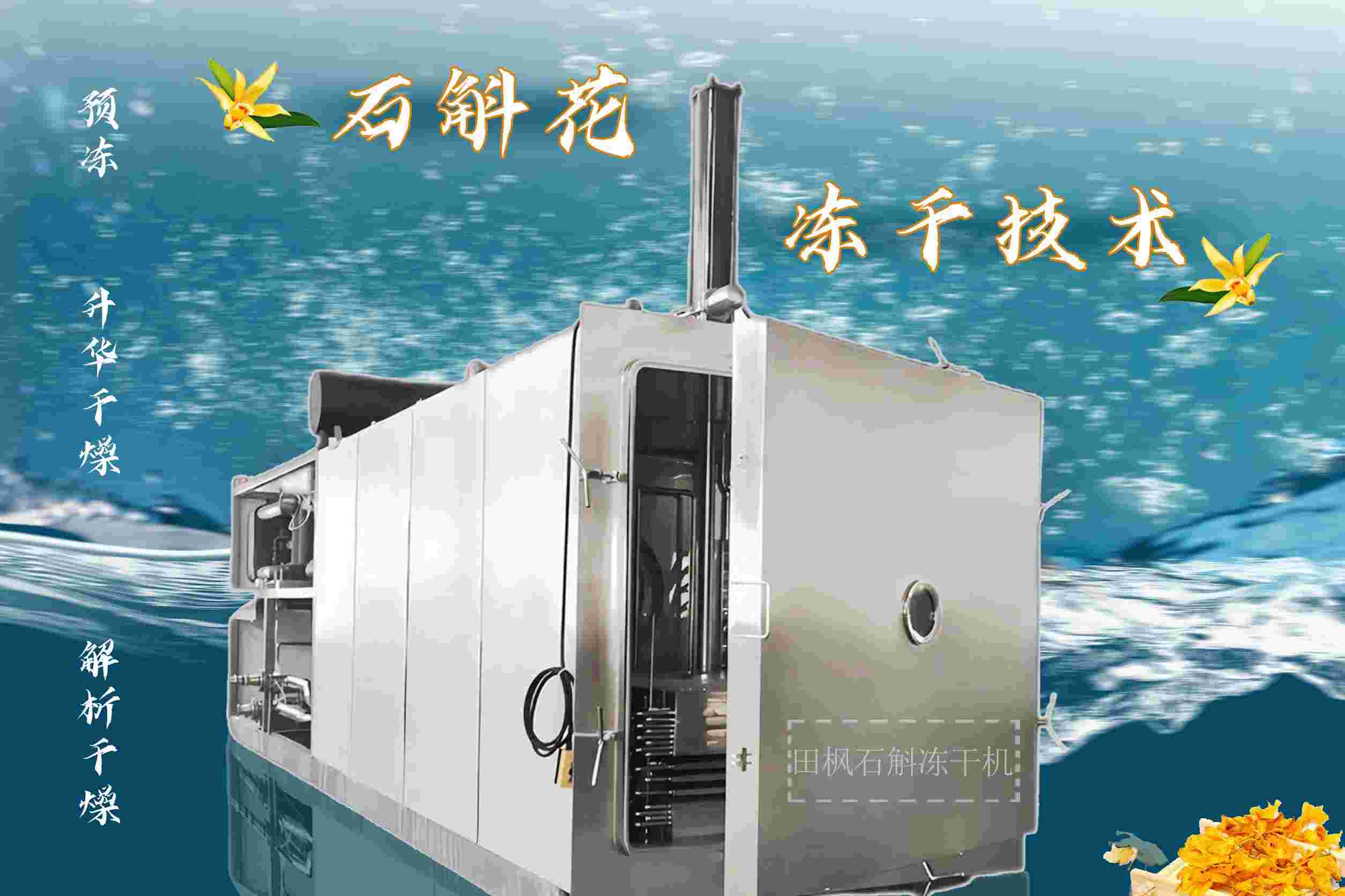 冷凍干燥機(jī)|凍干機(jī)|真空冷凍干燥機(jī)|大型冷凍干燥機(jī)|食品凍干機(jī)|制藥真空冷凍干燥機(jī)|食品凍干設(shè)備|制藥冷凍干燥機(jī)