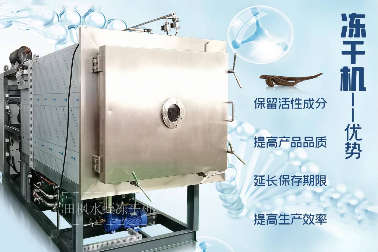 冷凍干燥機|凍干機|真空冷凍干燥機|大型冷凍干燥機|食品凍干機|制藥真空冷凍干燥機|食品凍干設(shè)備|制藥冷凍干燥機