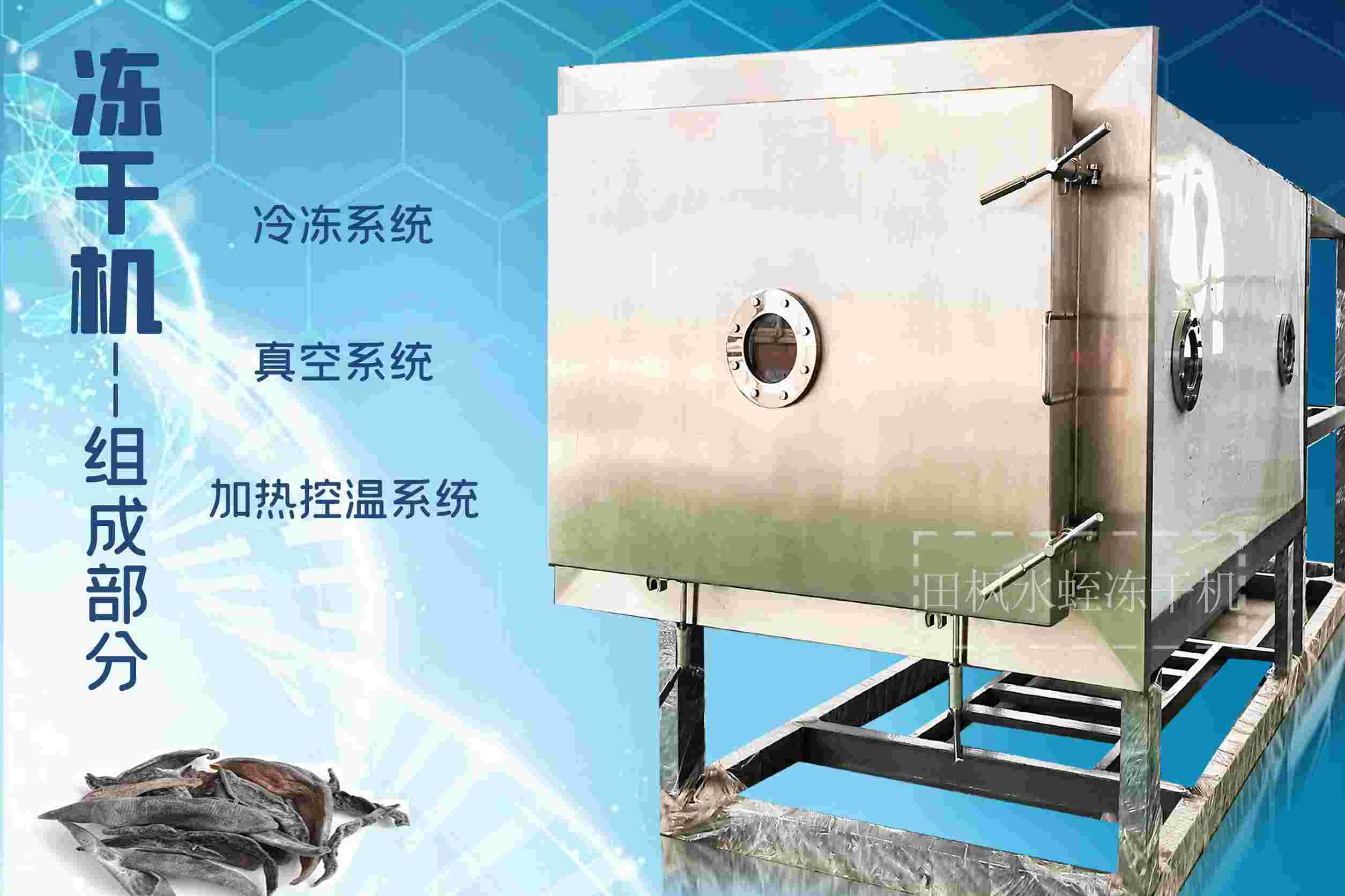 冷凍干燥機|凍干機|真空冷凍干燥機|大型冷凍干燥機|食品凍干機|制藥真空冷凍干燥機|食品凍干設(shè)備|制藥冷凍干燥機