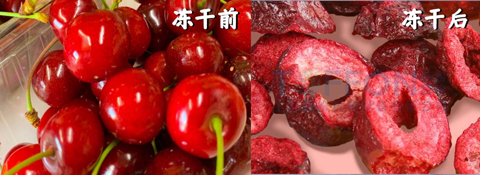 冷凍干燥機(jī)