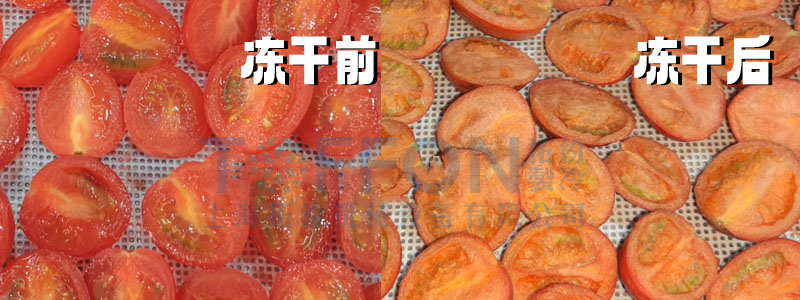 冷凍干燥機(jī)