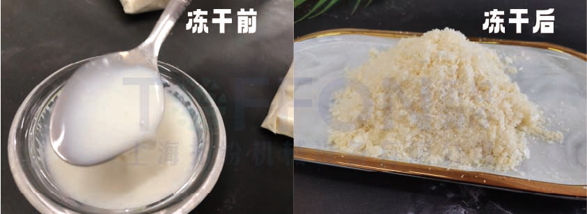 冷凍干燥機