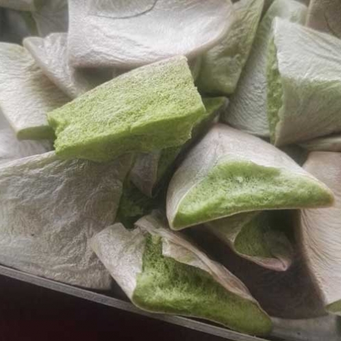 多肉植物冷凍干燥