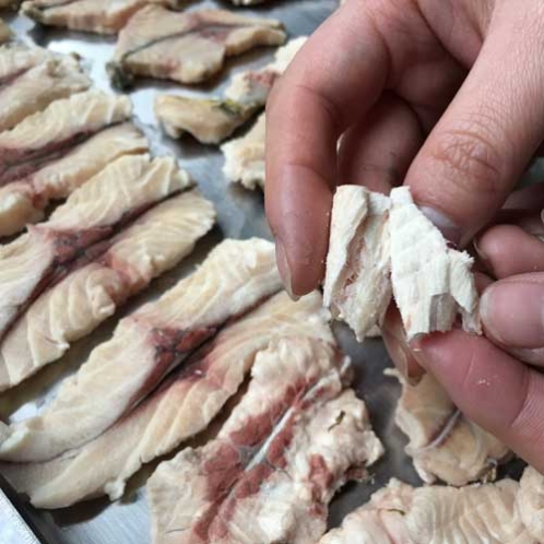 魚肉冷凍干燥